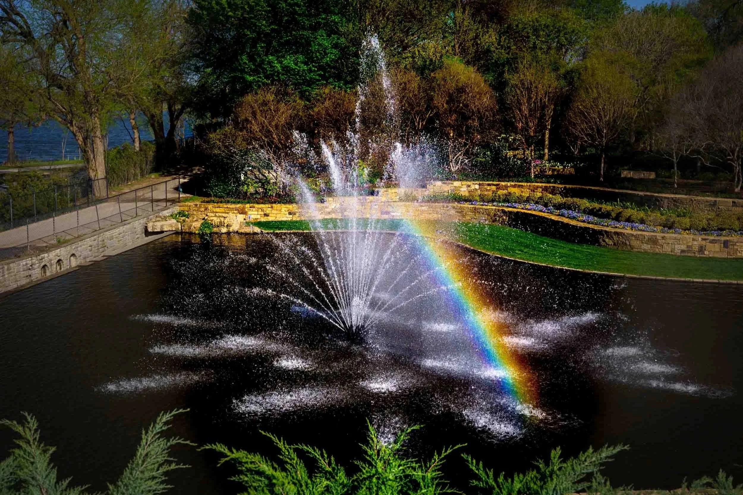 A fountain greets you when you enter the Dallas Arboretum. Fortunately for me on one visit there were a few fleeting moments when the light was just right and presented me with a rainbow to photograph.