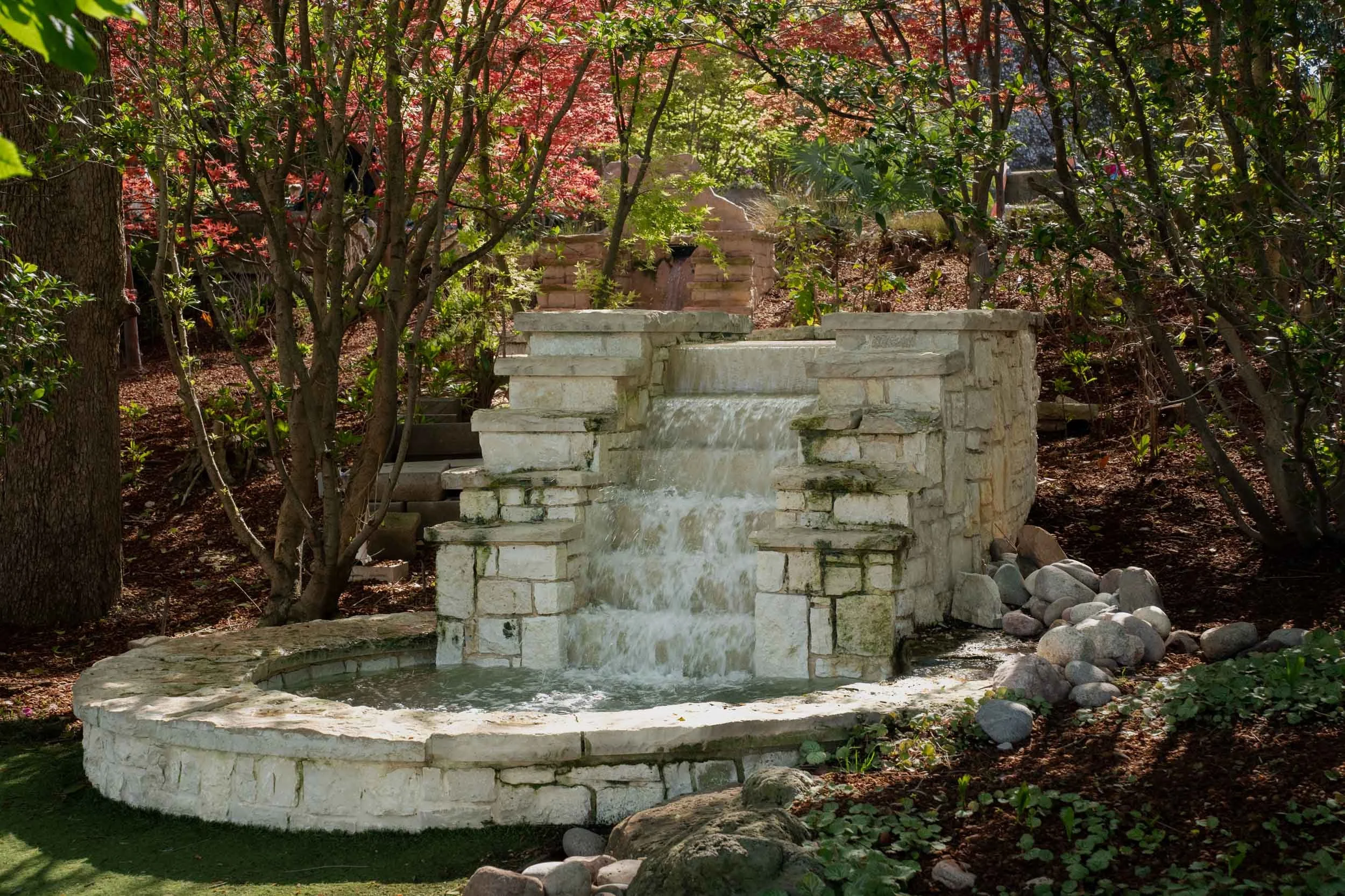 DallasBlooms-48.jpg