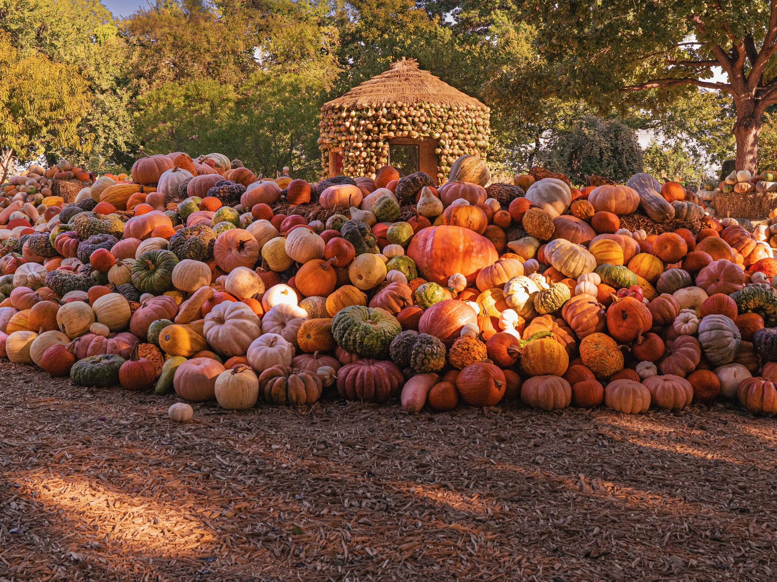 AutumnArboretum-8.jpeg