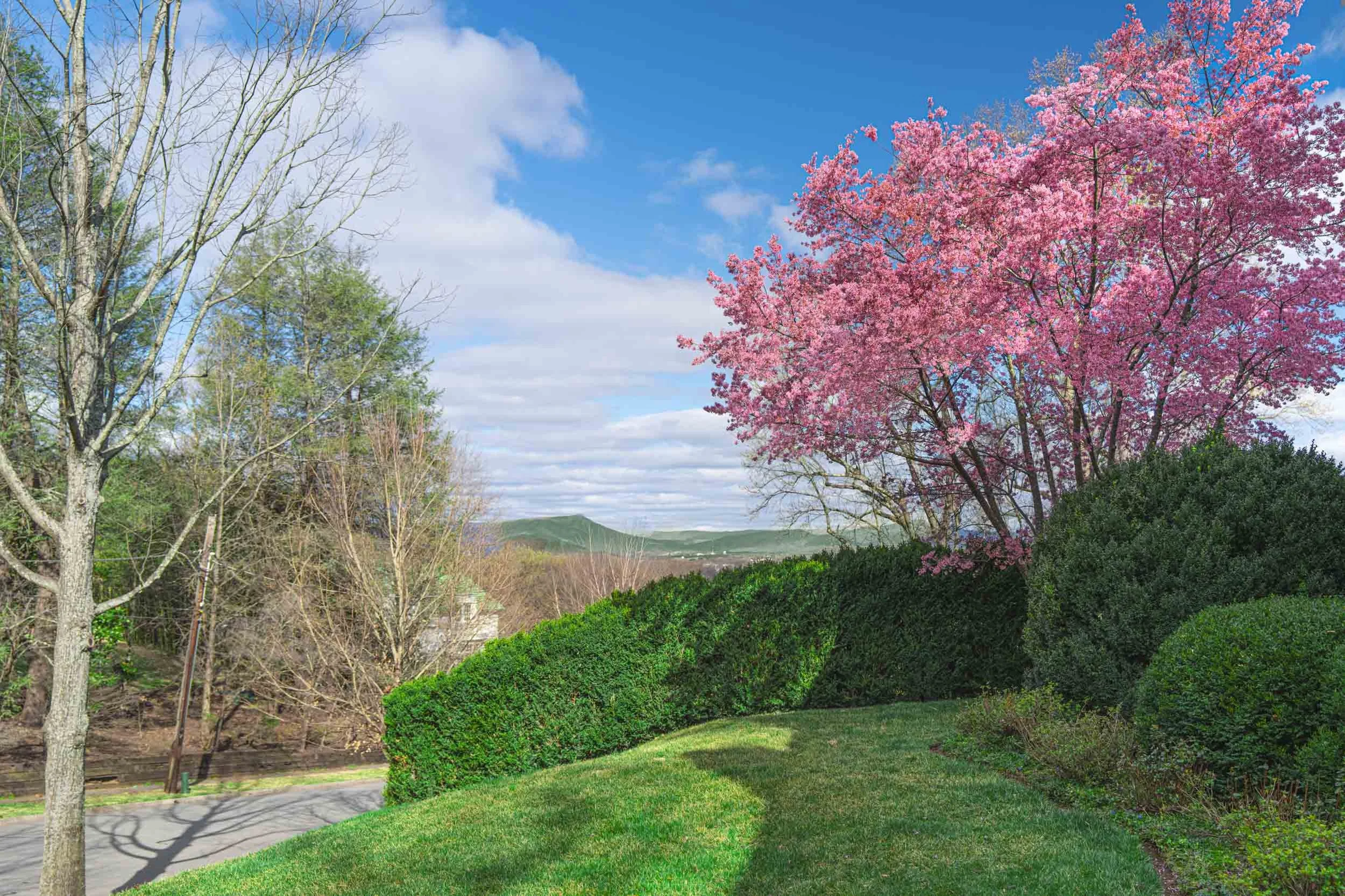 CrabApple_013-Enhanced-NR.jpg
