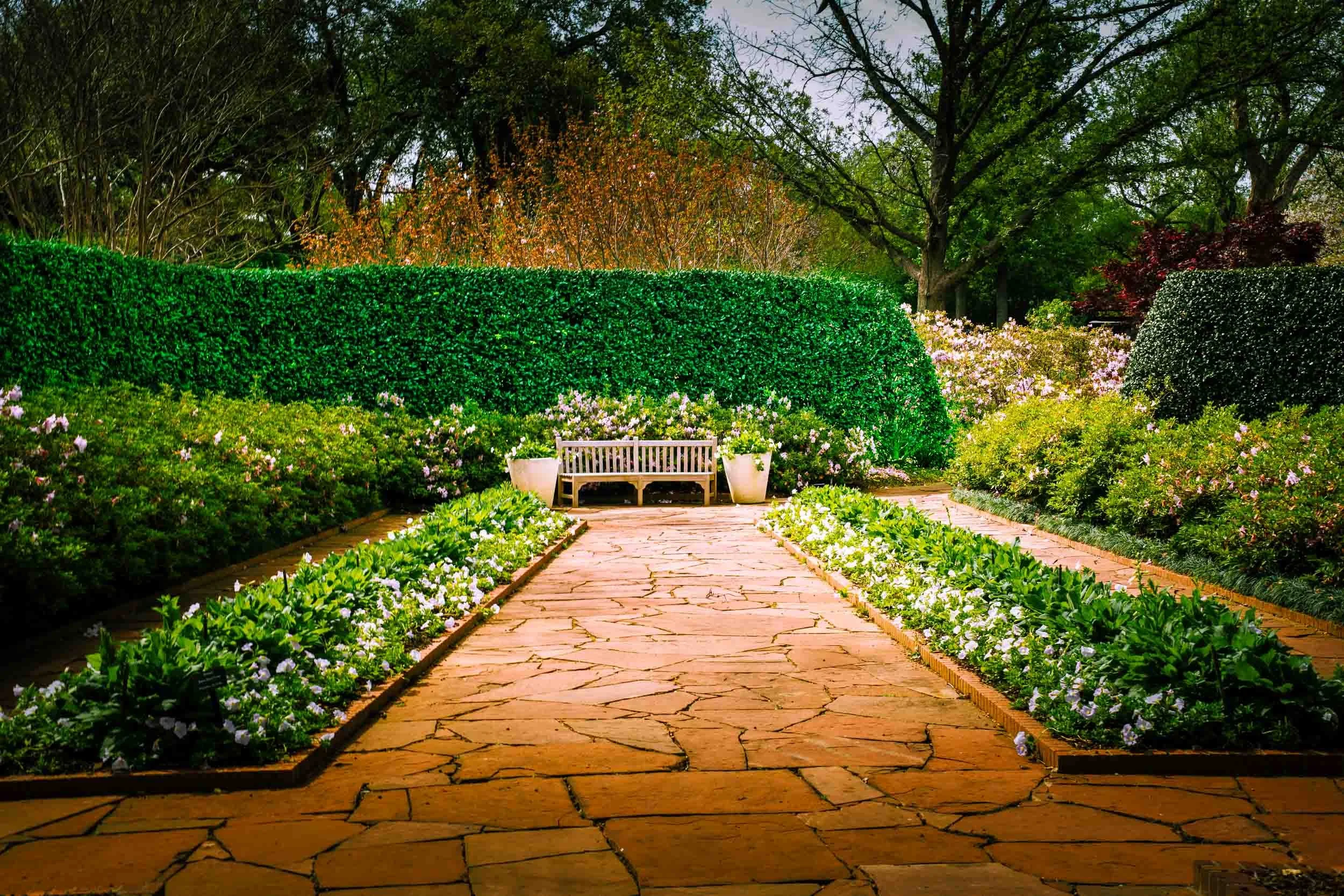 A simple wooden bench becomes a work of art with an ivy covered wall as a backdrop, symmetrical rows of shrubs and spring flowers providing leading lines to focus the eye to the bench - all set on a well crafted stone terrace. Photo taken at the Dall