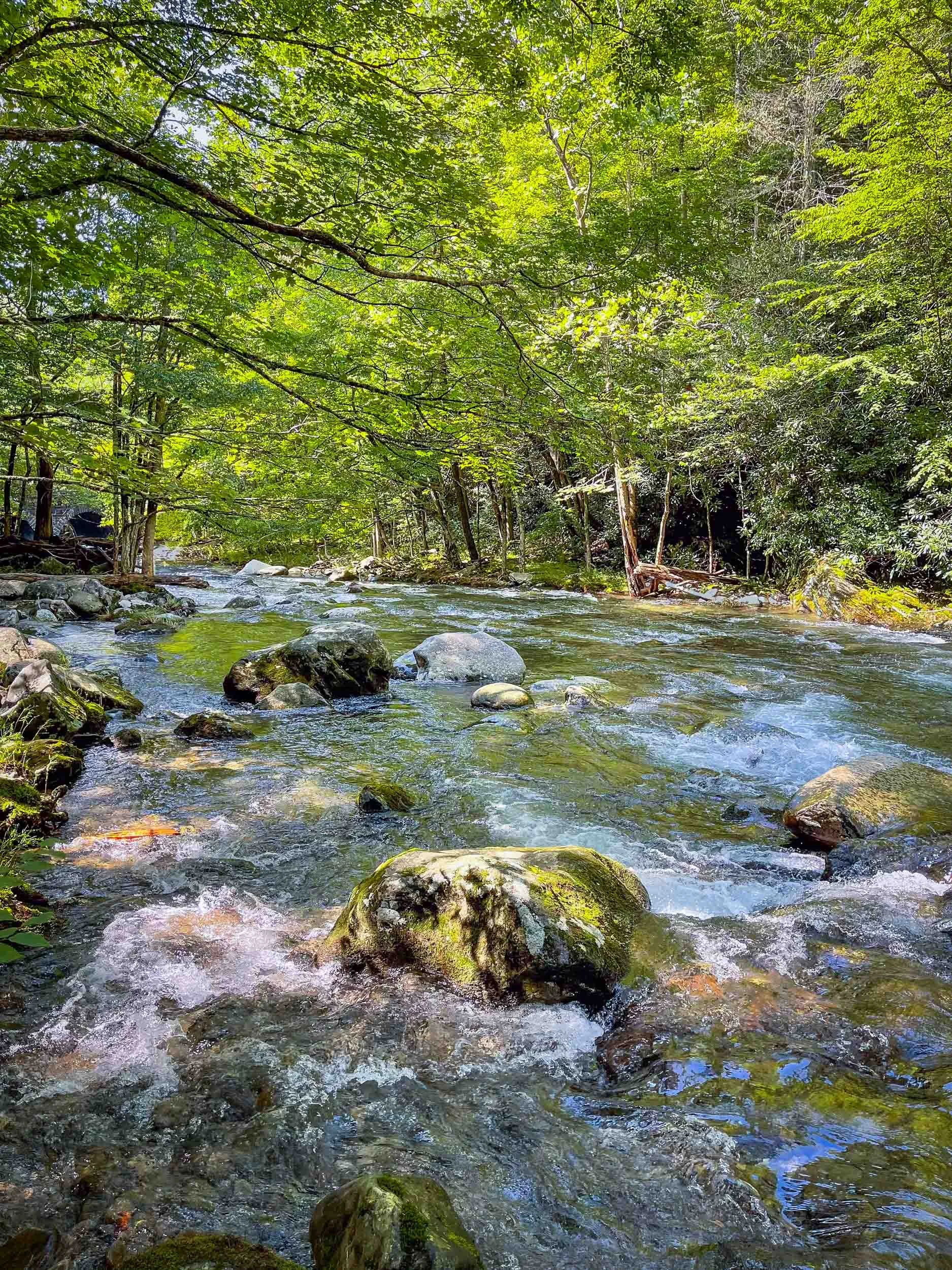 Elkmont