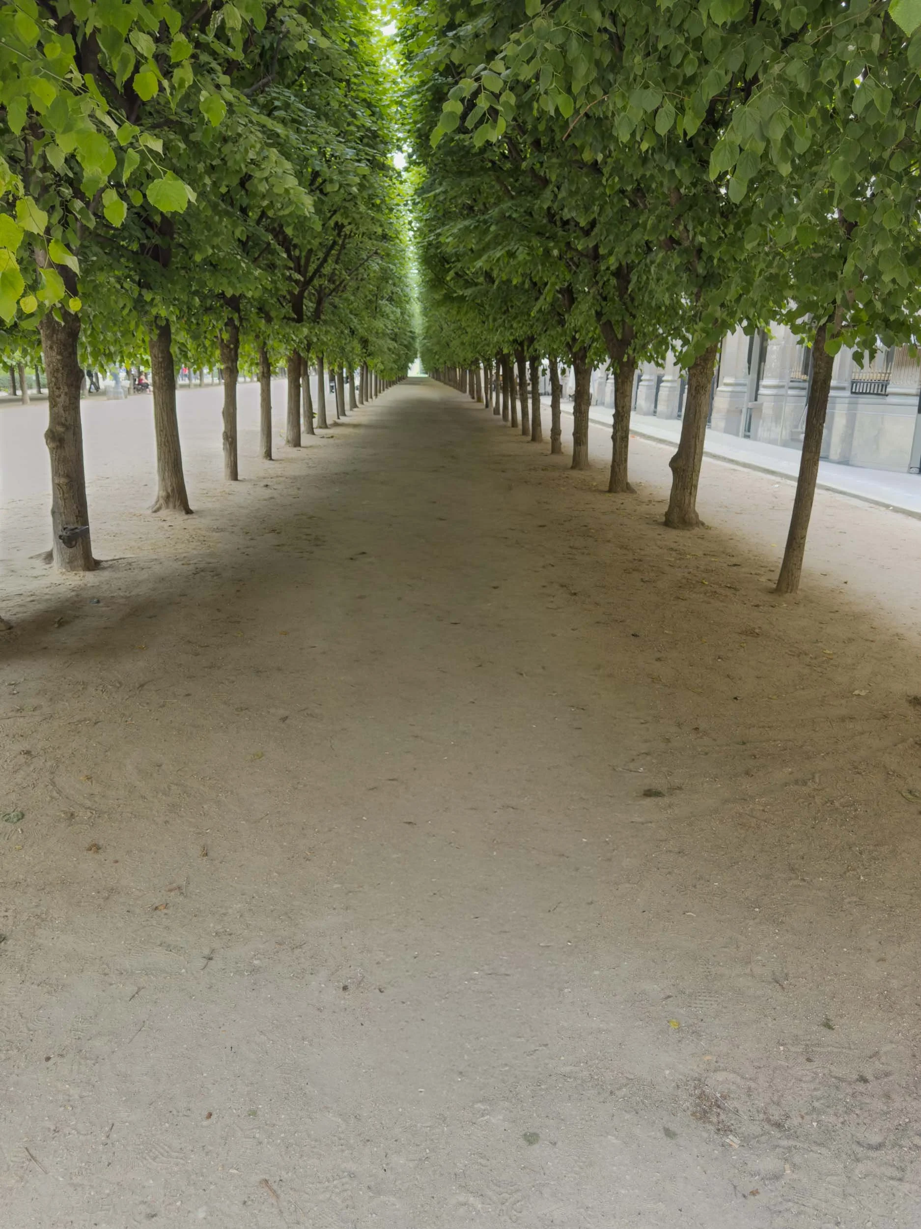 This picture is in the Palais-Royal, a historic palace and garden complex in Paris, located just across from the Louvre Museum. Originally built in 1633 as the private residence of Cardinal Richelieu, it later served as a royal residence for young Ki