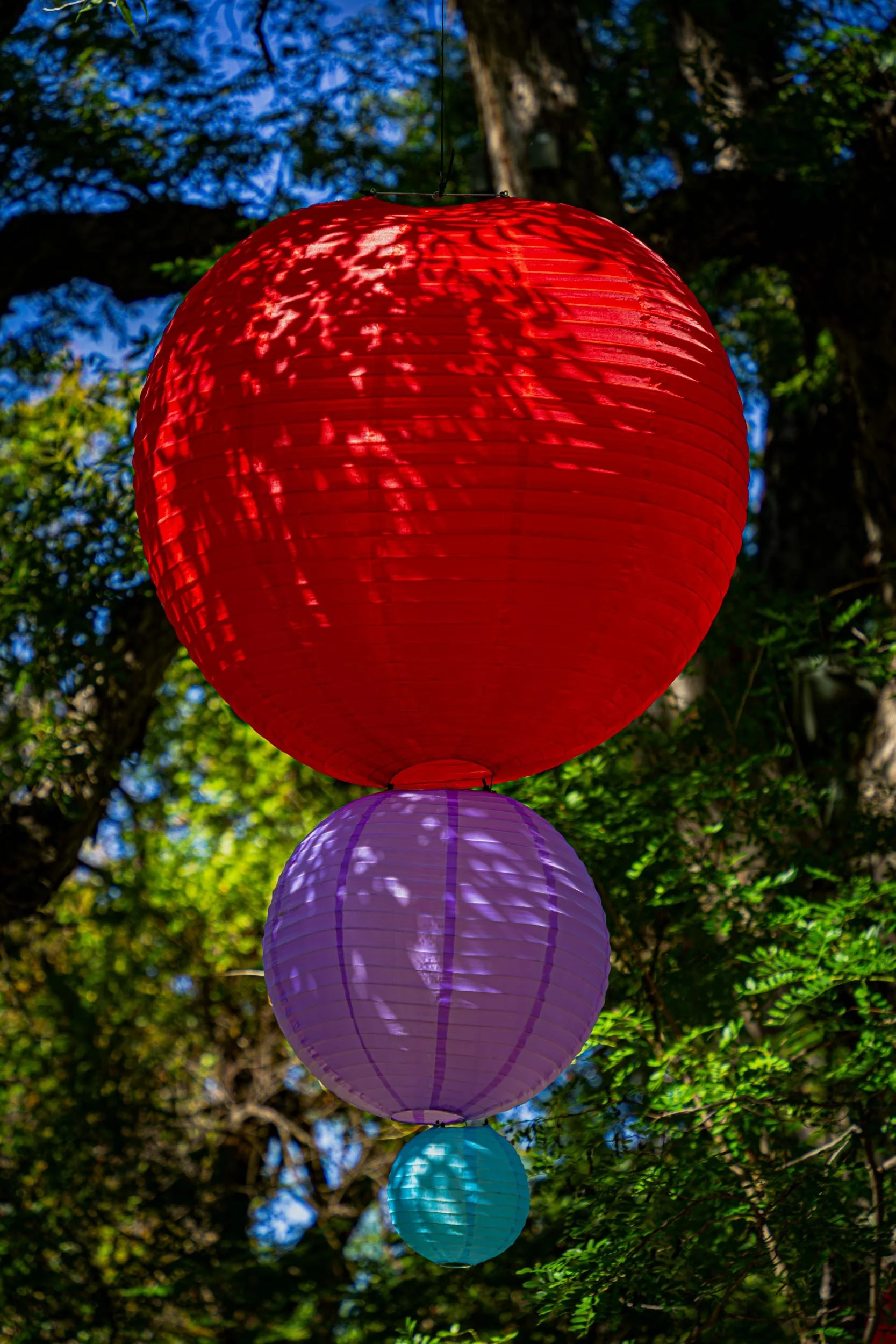 Paper lanterns at the Fort Worth Botanic Garden during the Japanese Festival annual event.