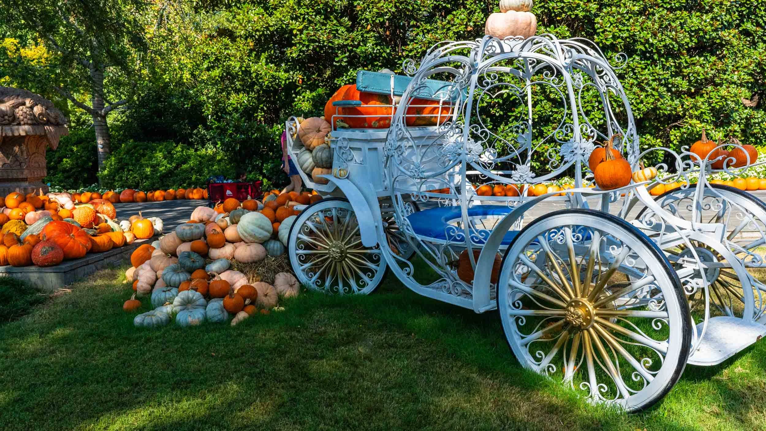 A carriage of pumpkins during "Autumn at the Arboretum"