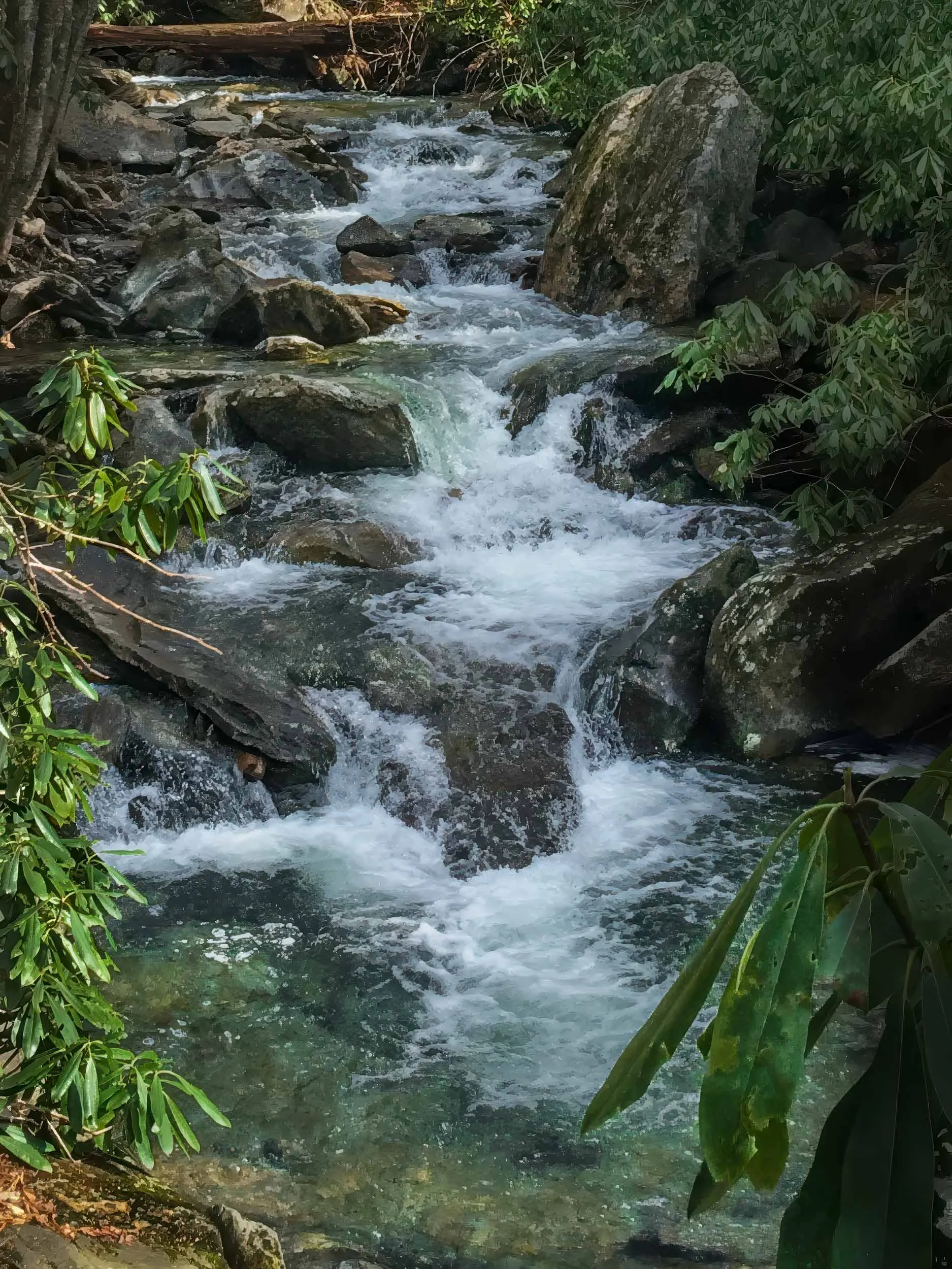 LeConte Creek Rainbow Falls Trail
