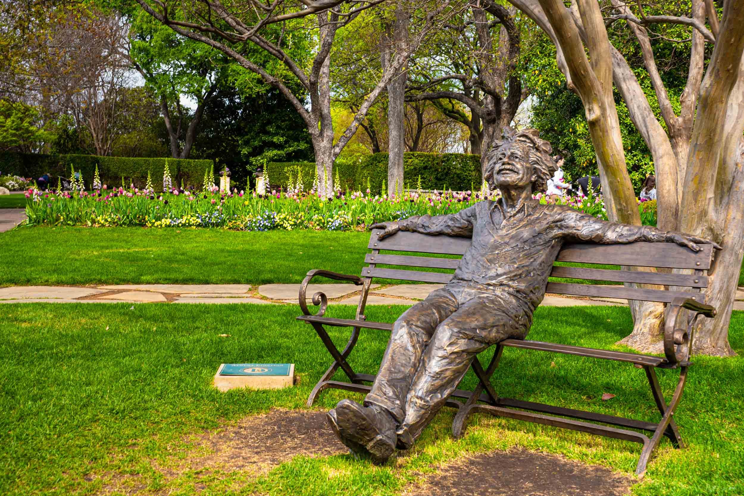 ALBERT EINSTEIN