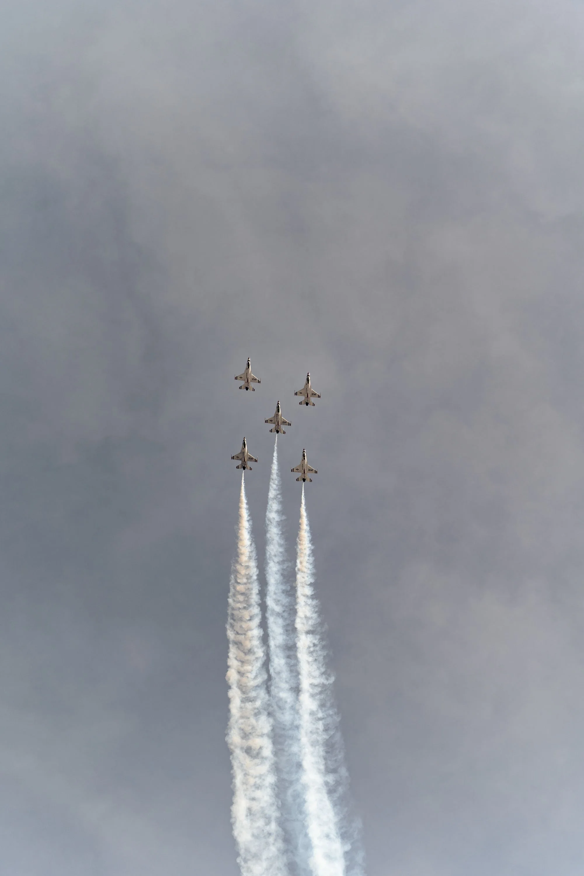 DSC02058.jpg