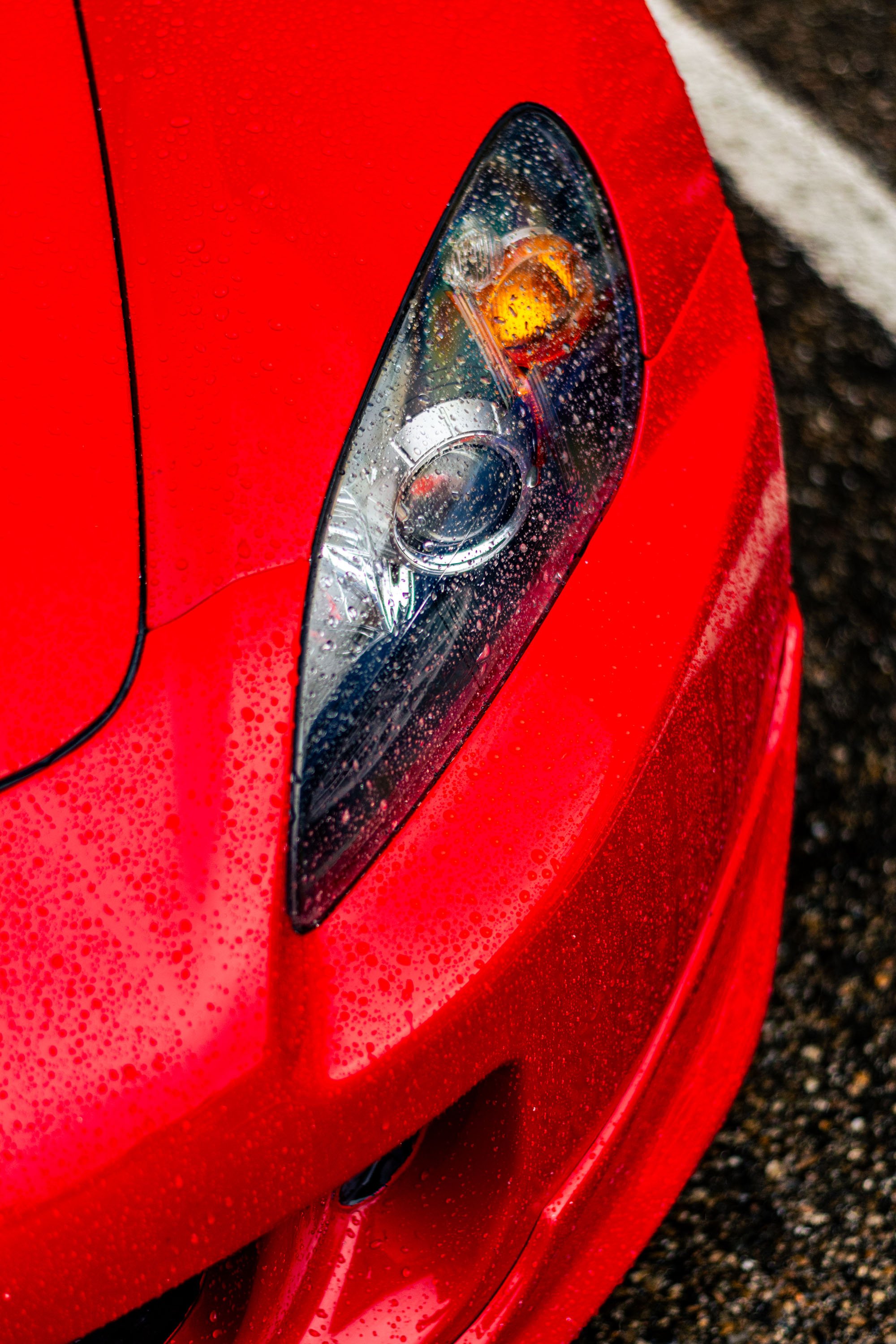 DSC_5291.jpg