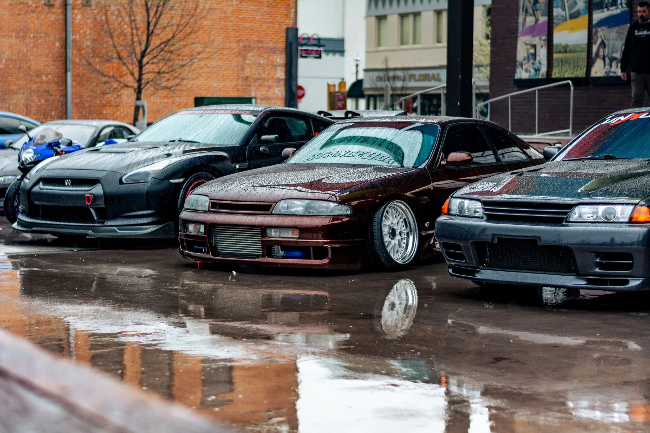 DSC_5029.jpg