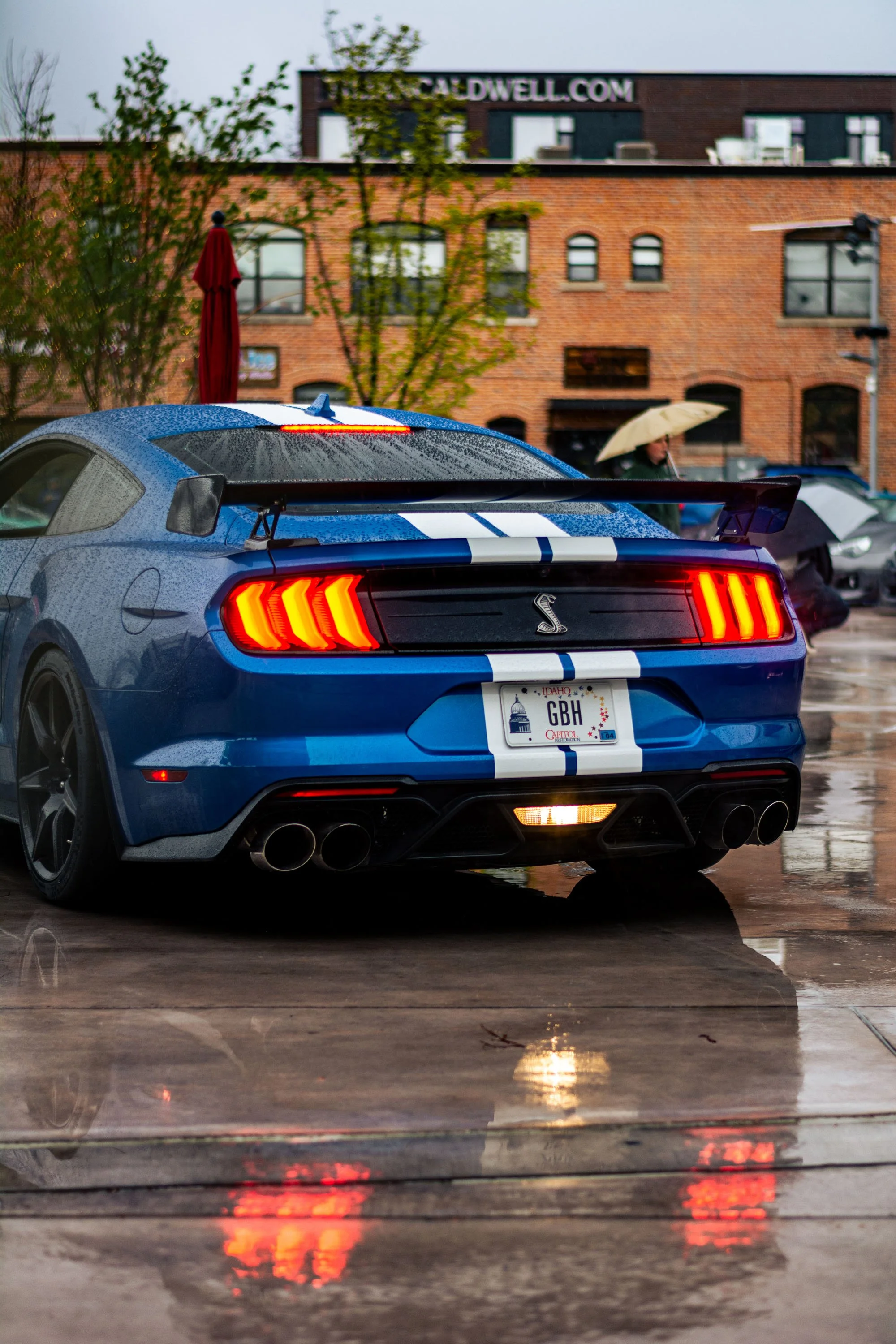 DSC_5002.jpg