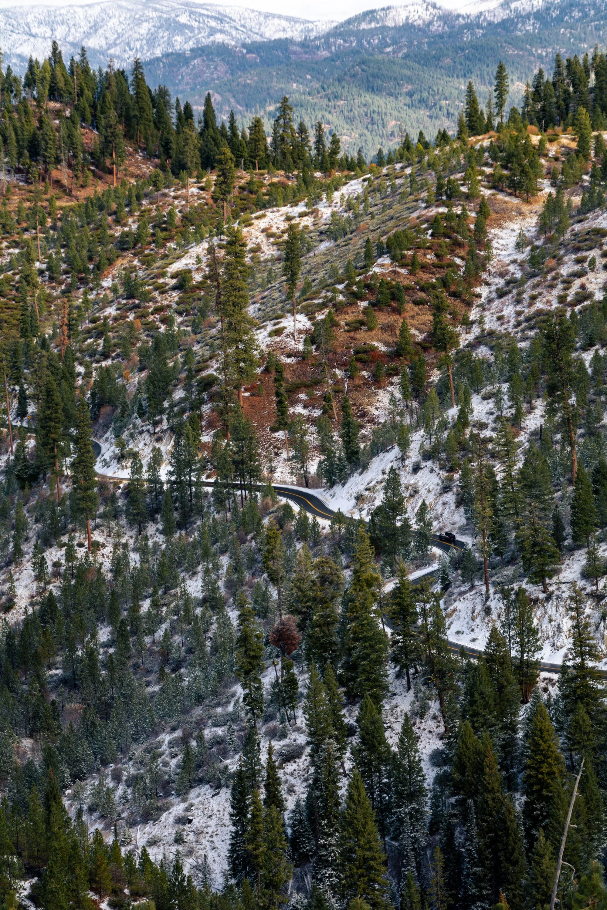 DSC_3786.jpg