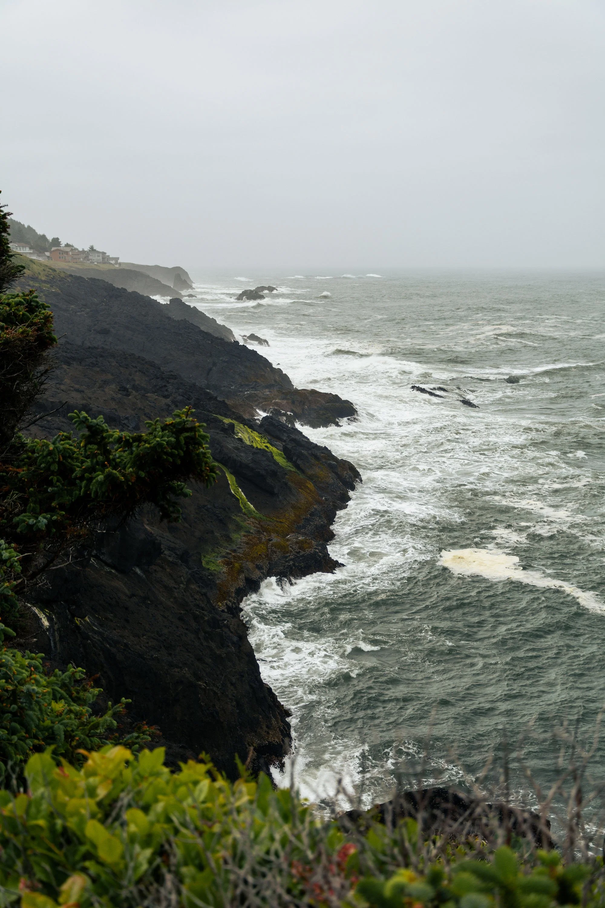DSC_6366.jpg