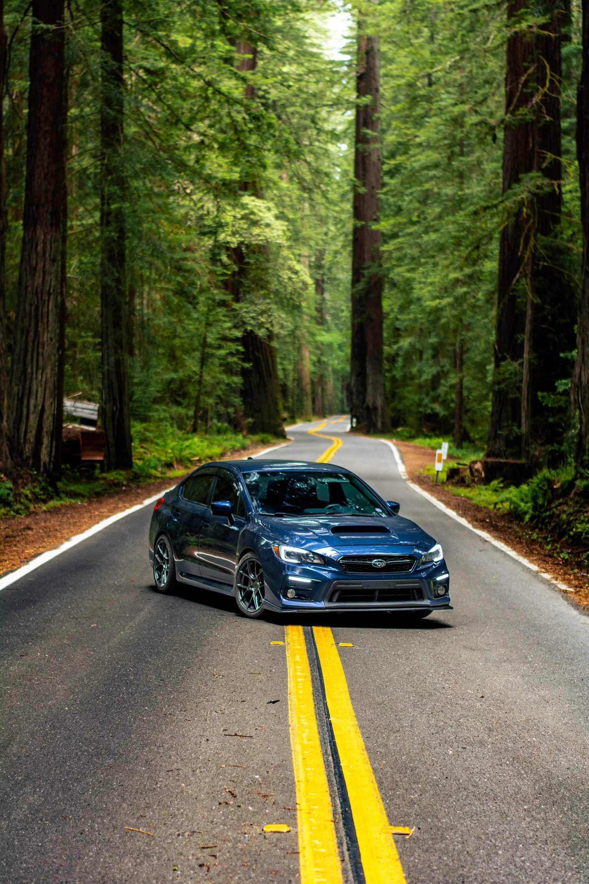 2017 Subaru WRX