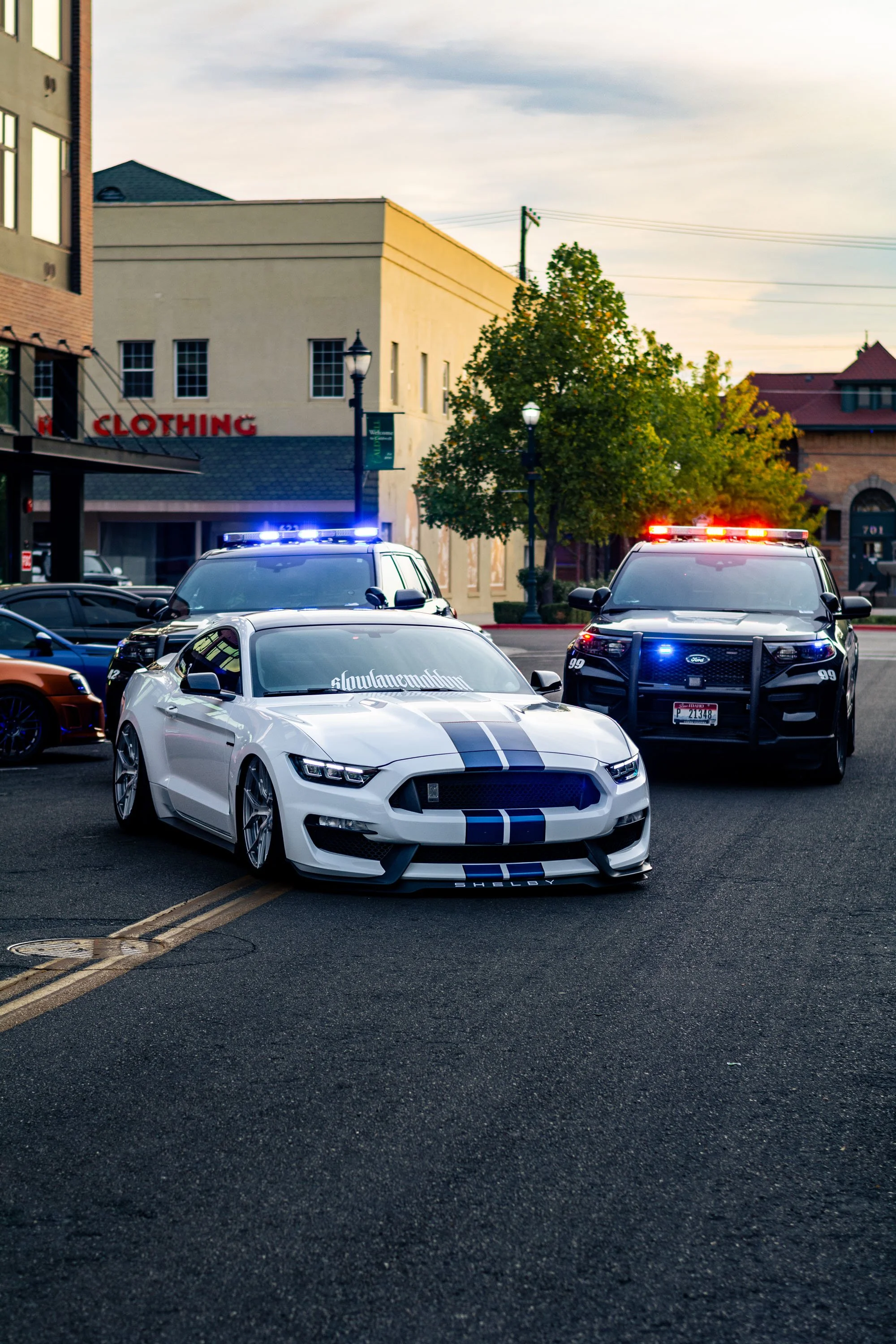 A white Ford Mustang Shelby with black racing stripes parked on a city street, with police cars with flashing lights behind it and buildings and trees in the background.