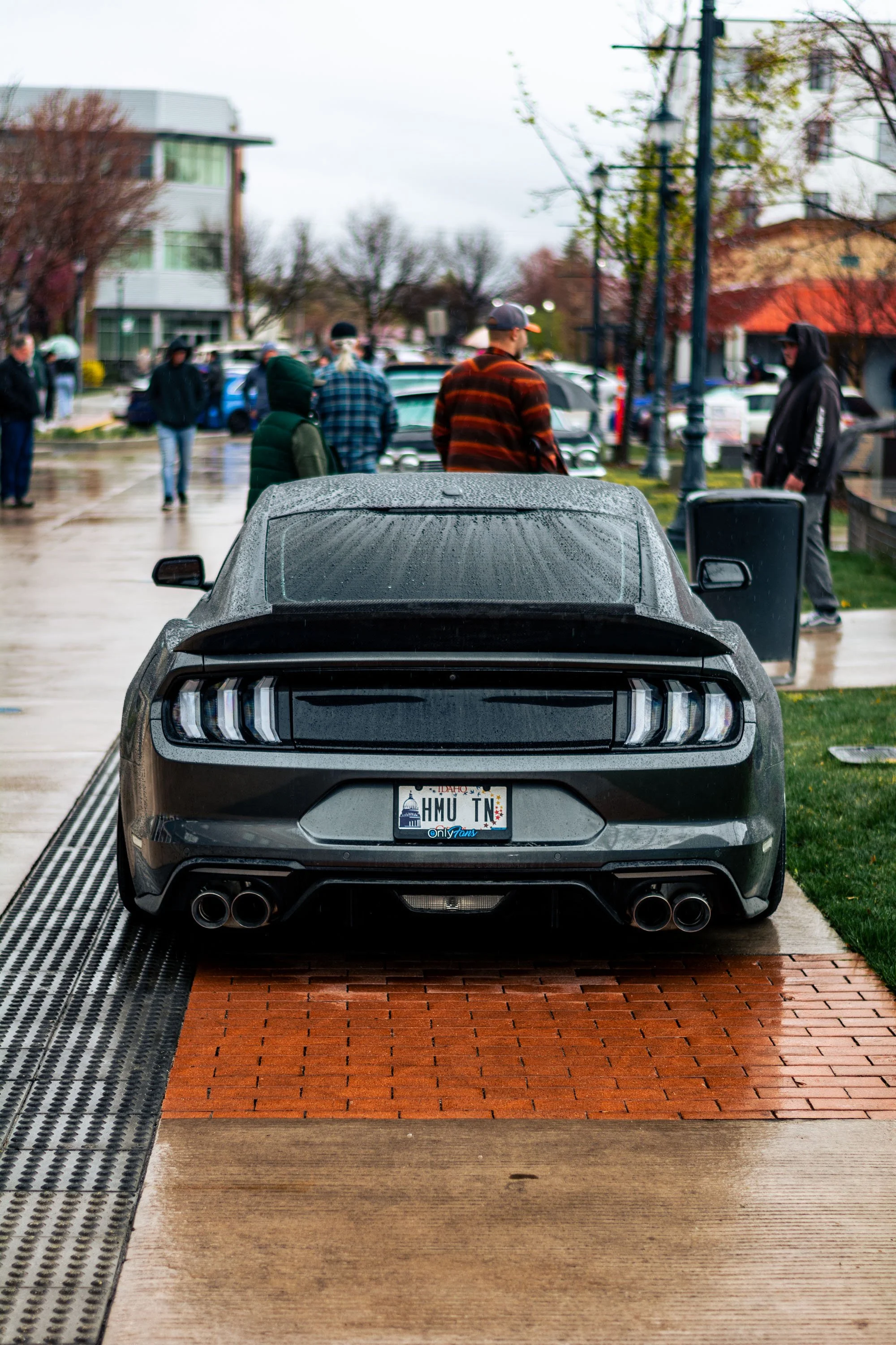 DSC_5196.jpg