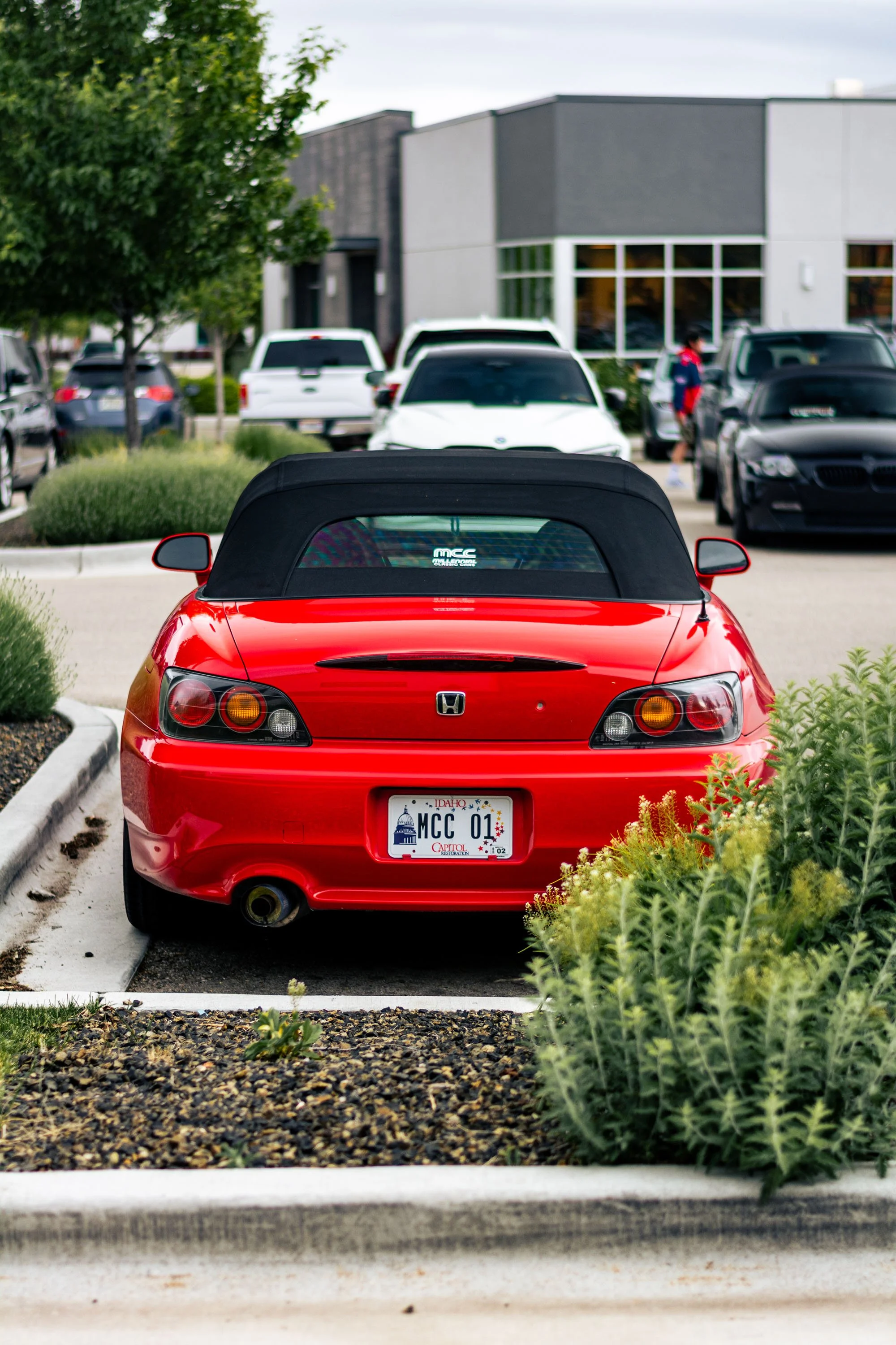 DSC_5980.jpg