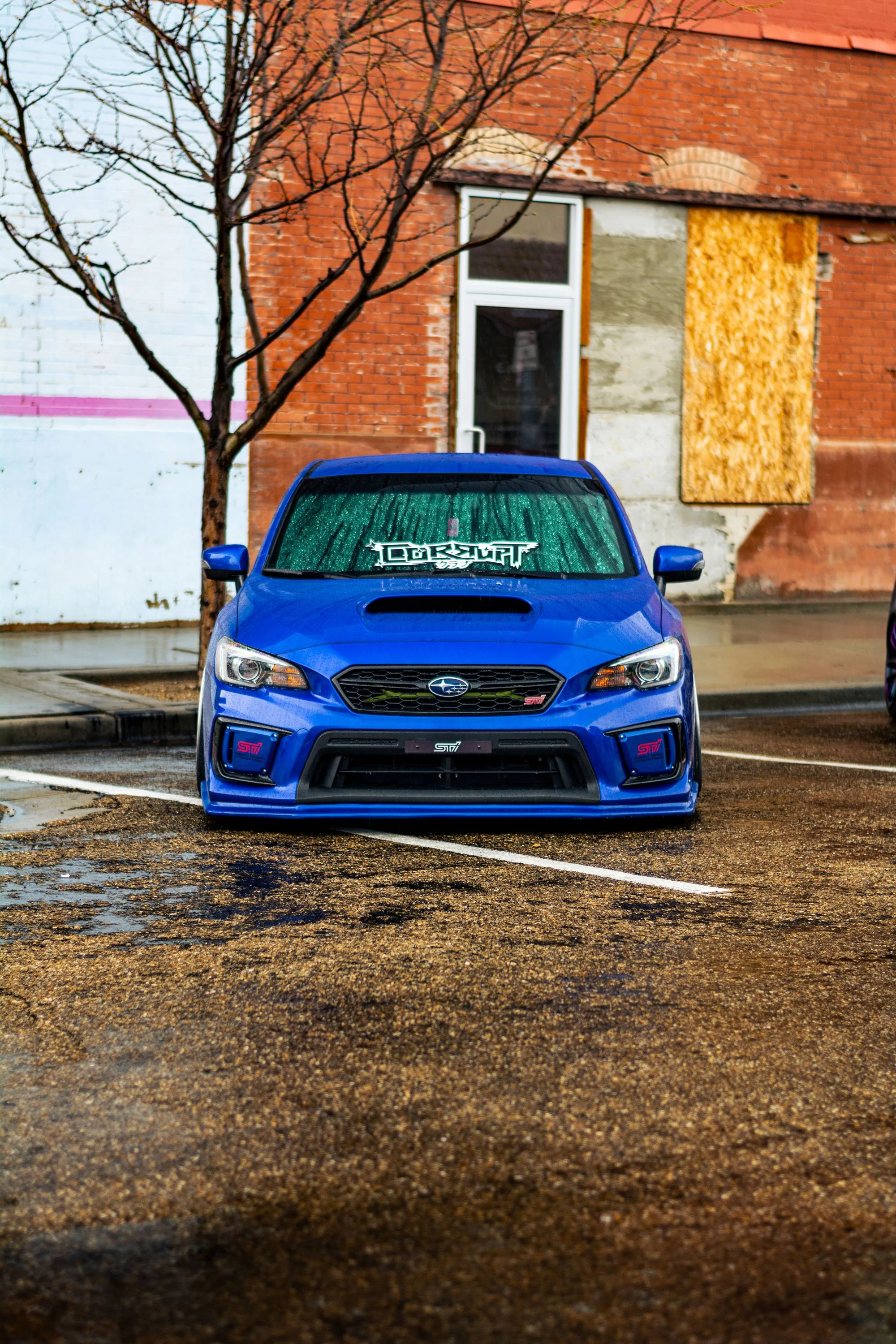 DSC_5234.jpg