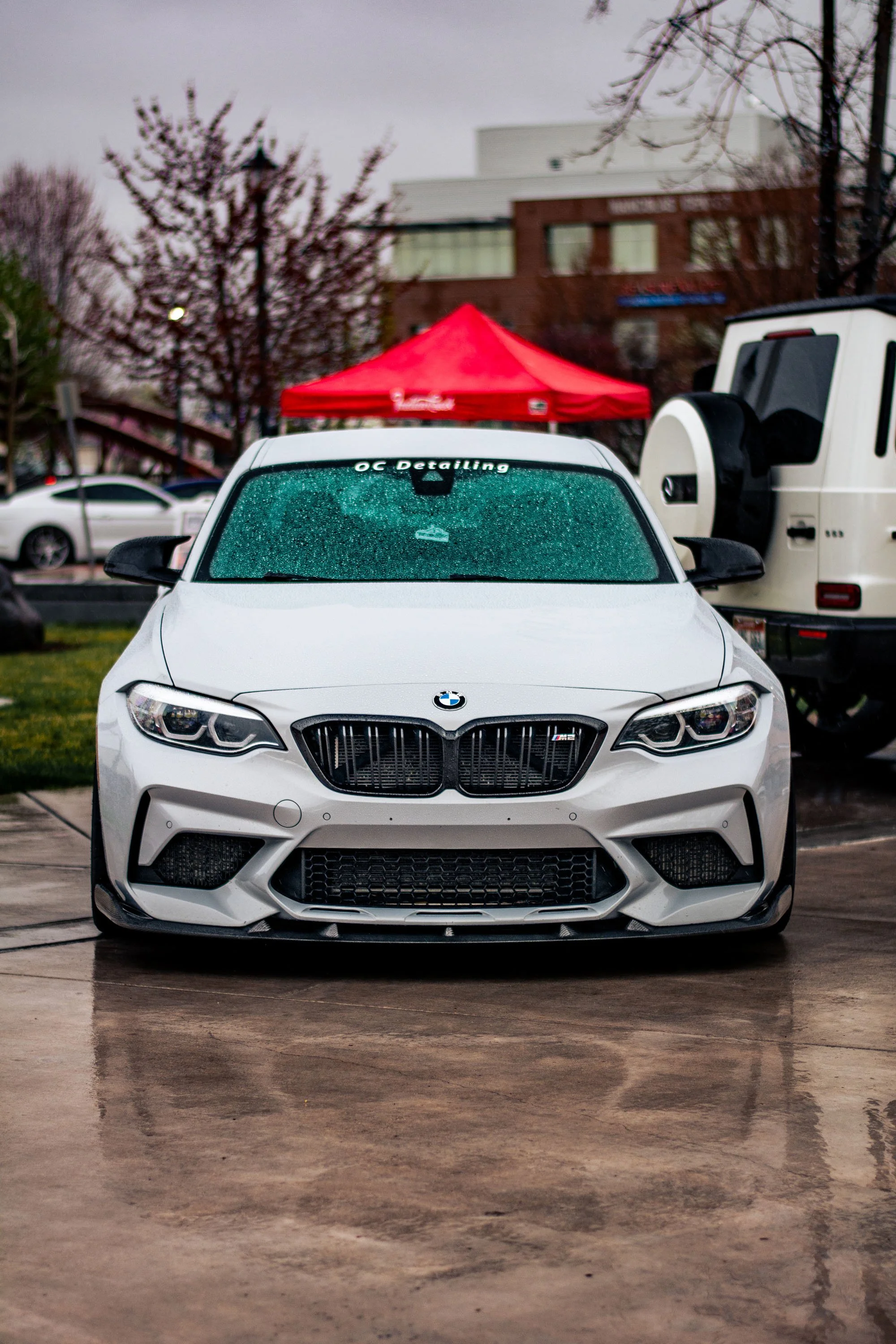 DSC_4933.jpg
