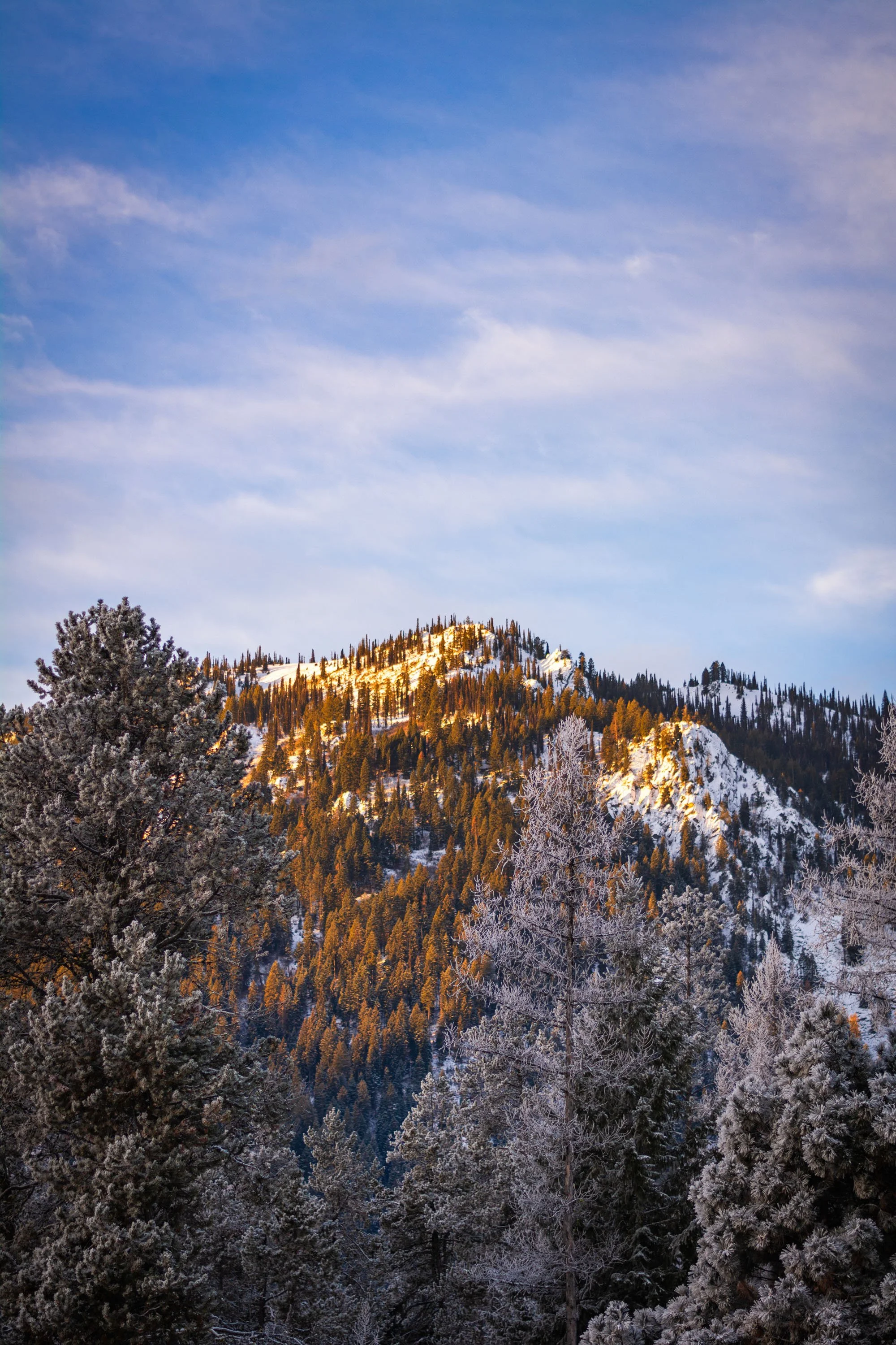 DSC_9779.jpg