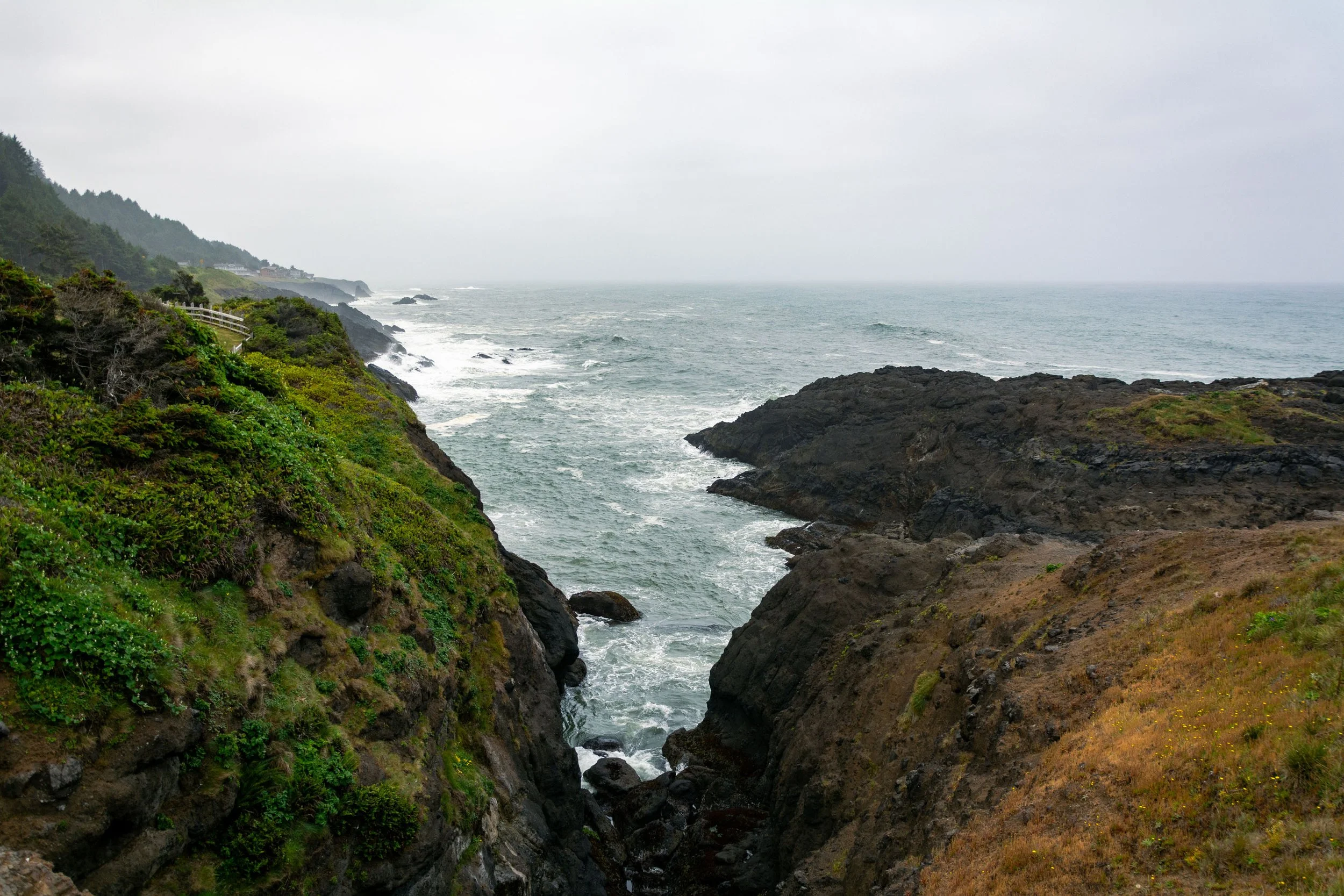 DSC_6382.jpg