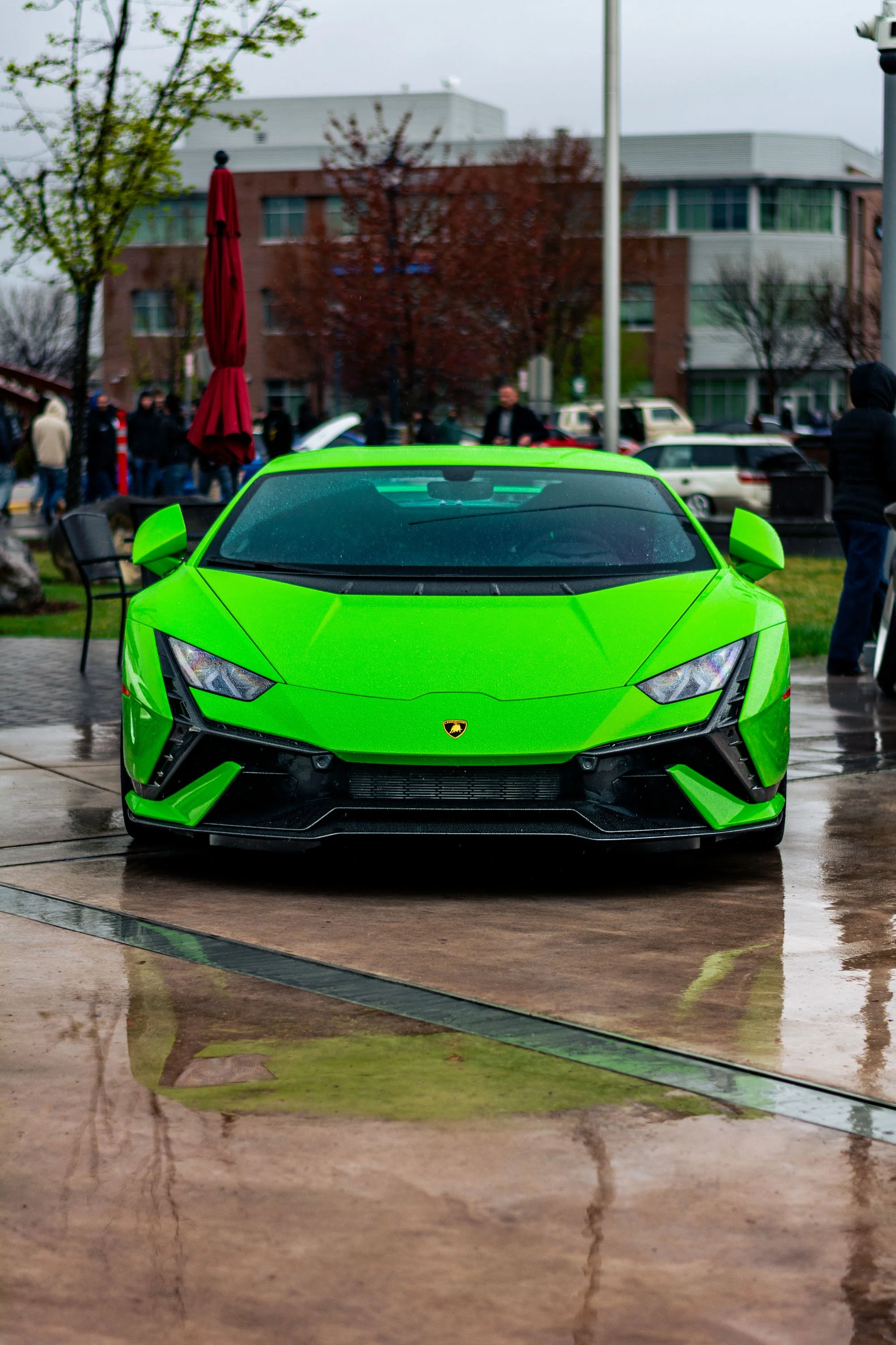 DSC_5177.jpg