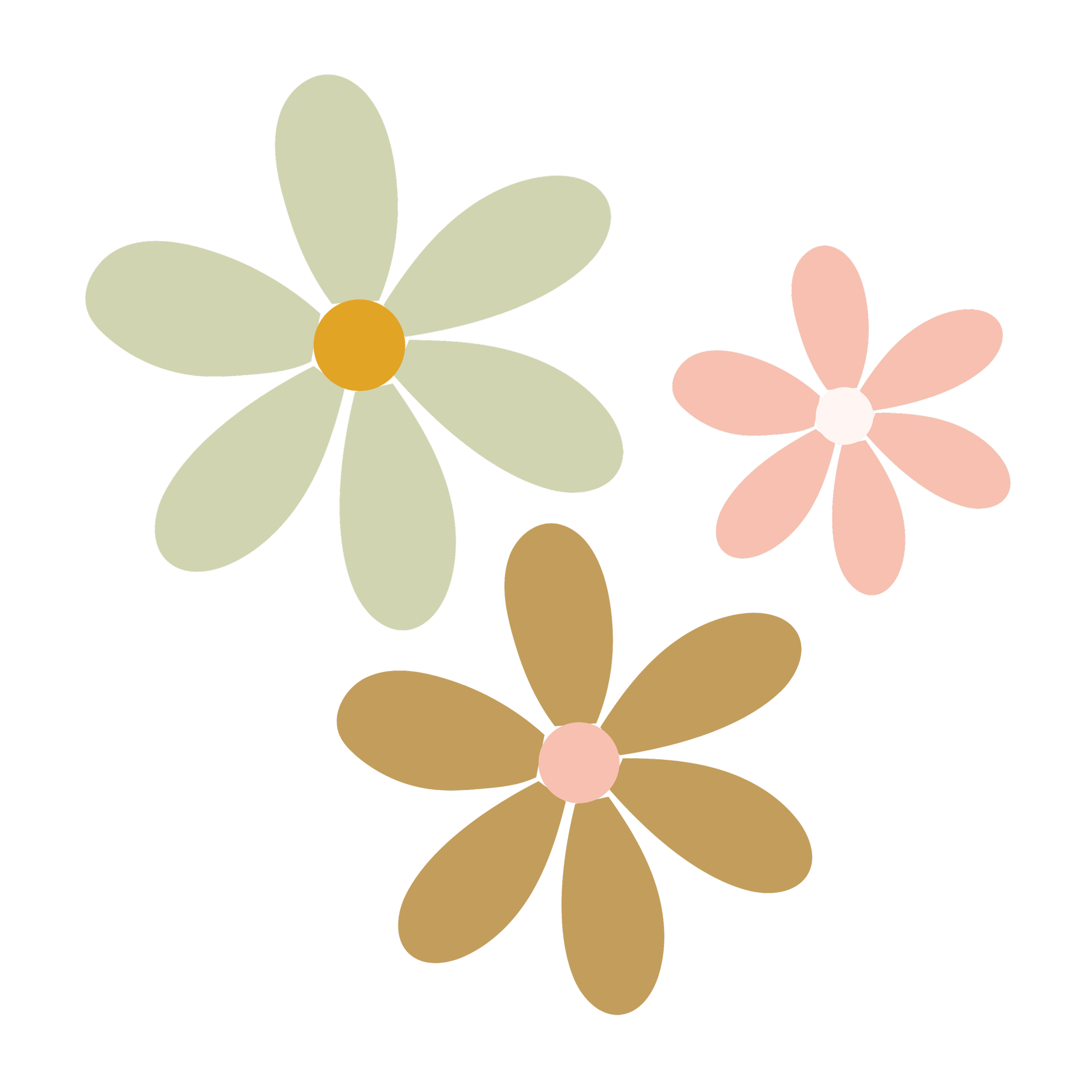 Stylized illustration of two flowers, one with cream petals and orange center, the other with pink petals and white center, on a black background.
