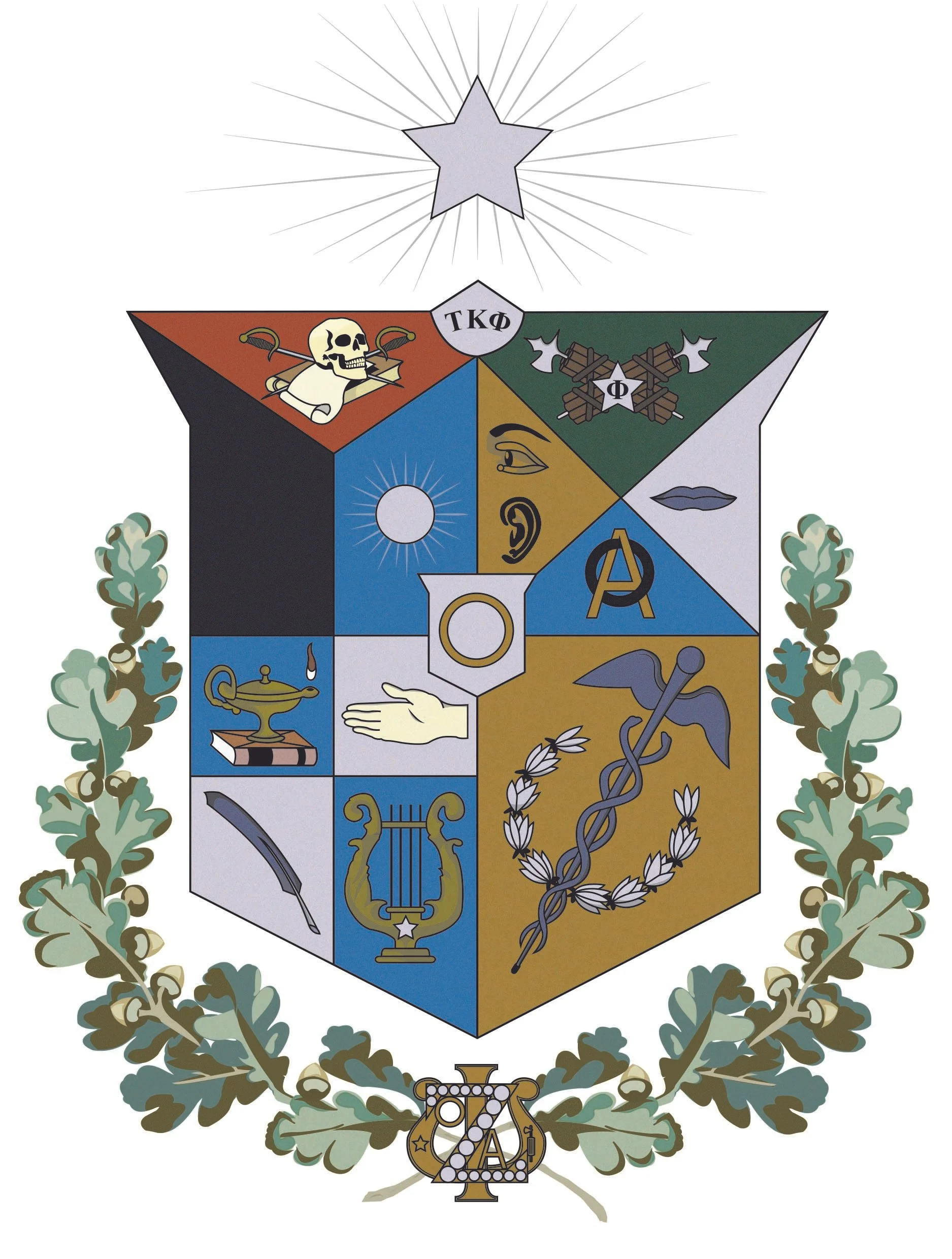 A colorful coat of arms with various symbols and a shield, surrounded by olive branches, and a star with radiating lines above it.