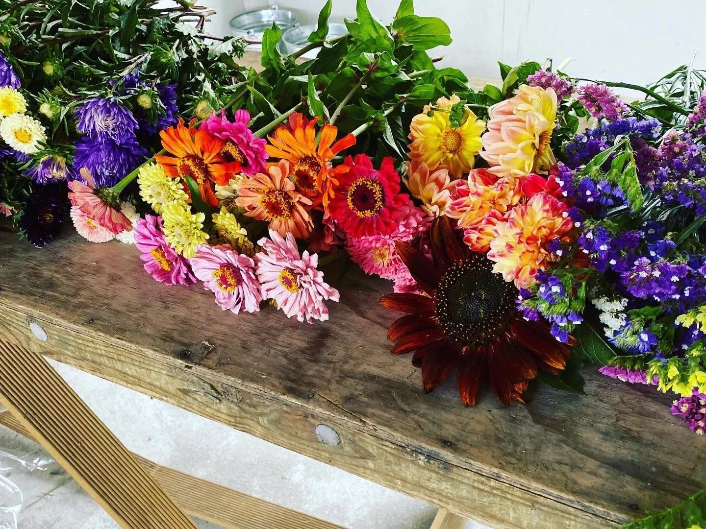 70 Stems
