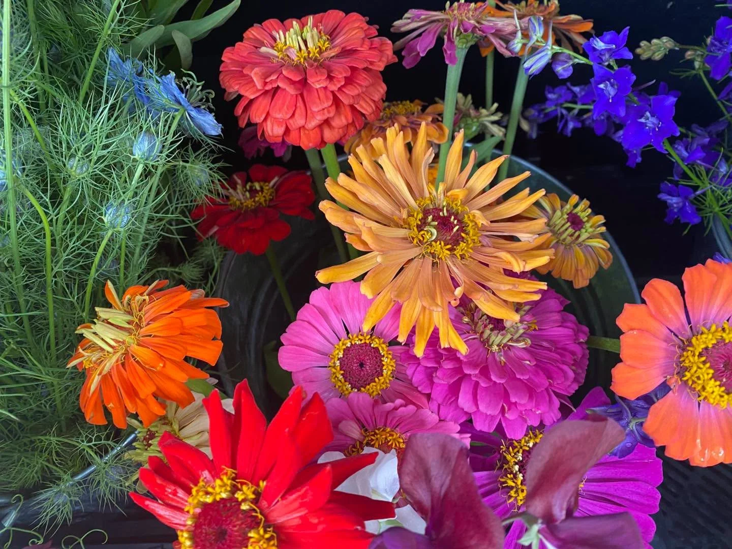 40 Stems