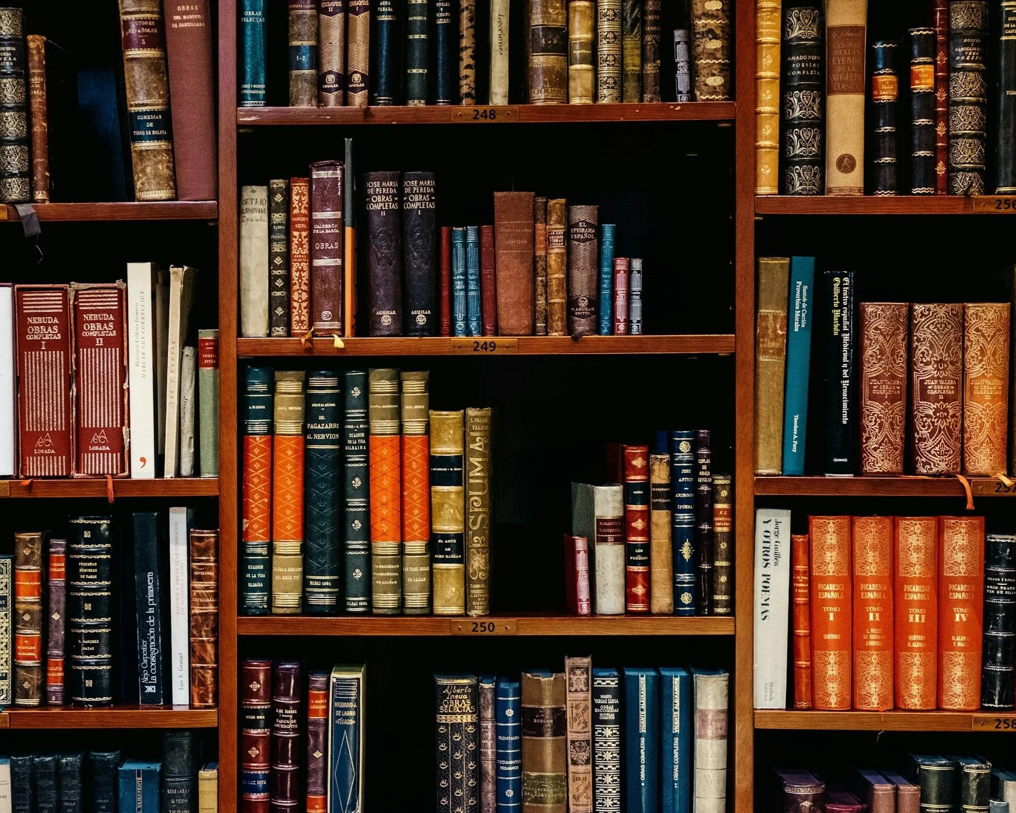 Books on wooden shelves in a library, with a variety of titles in Spanish.