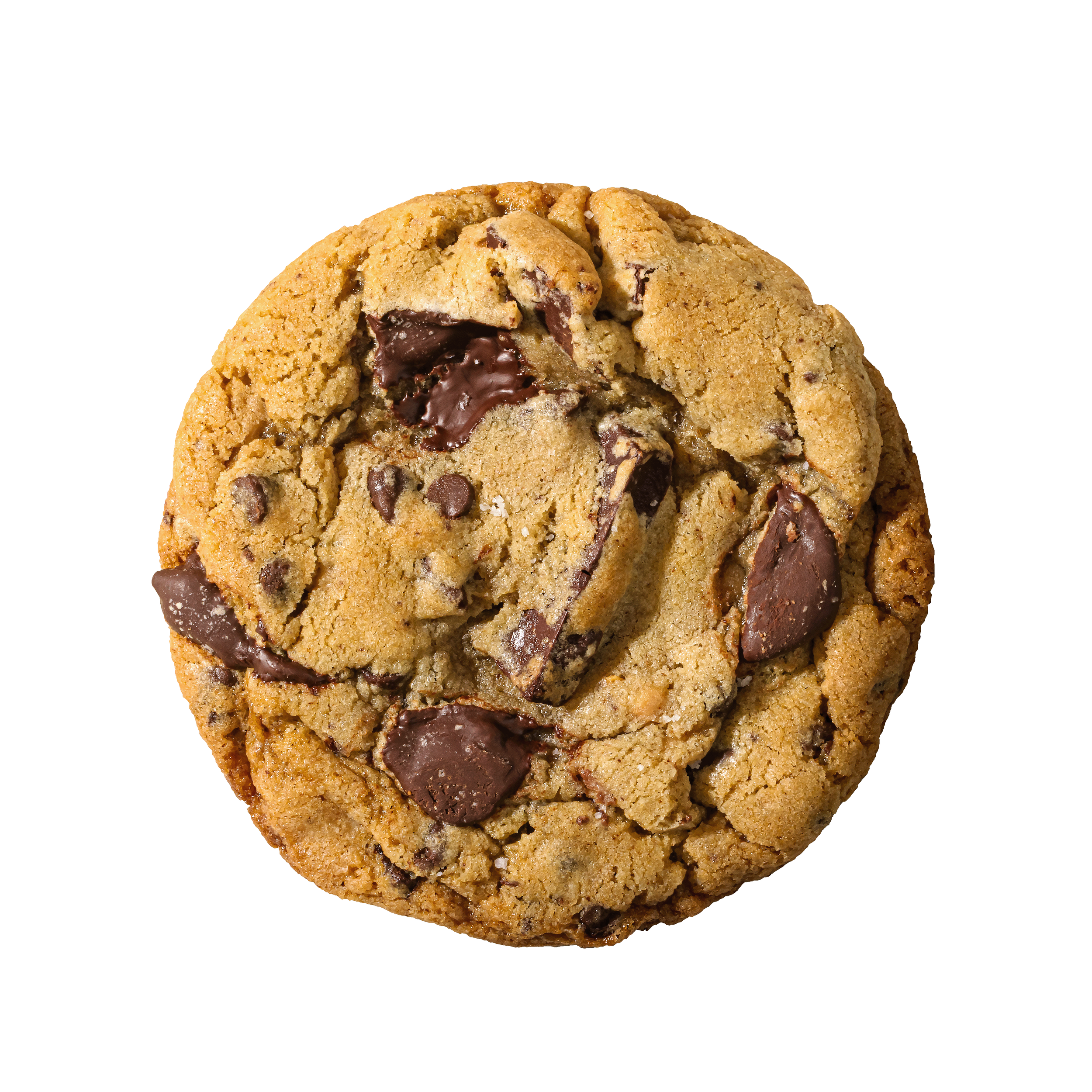 Chocolate Chip
