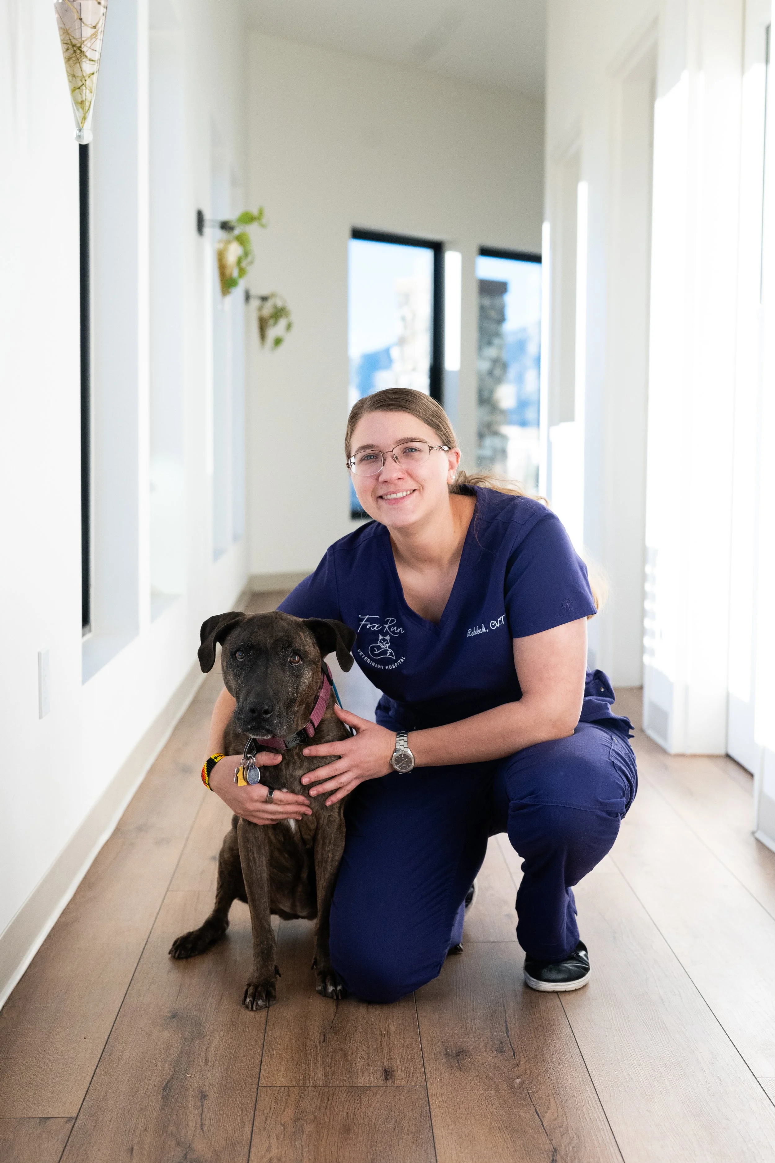 A woman in navy medical scrubs kneels beside a large brindle dog with floppy ears and a purple collar inside a brightly lit room with white walls and wooden floors, holding the dog gently with both hands.