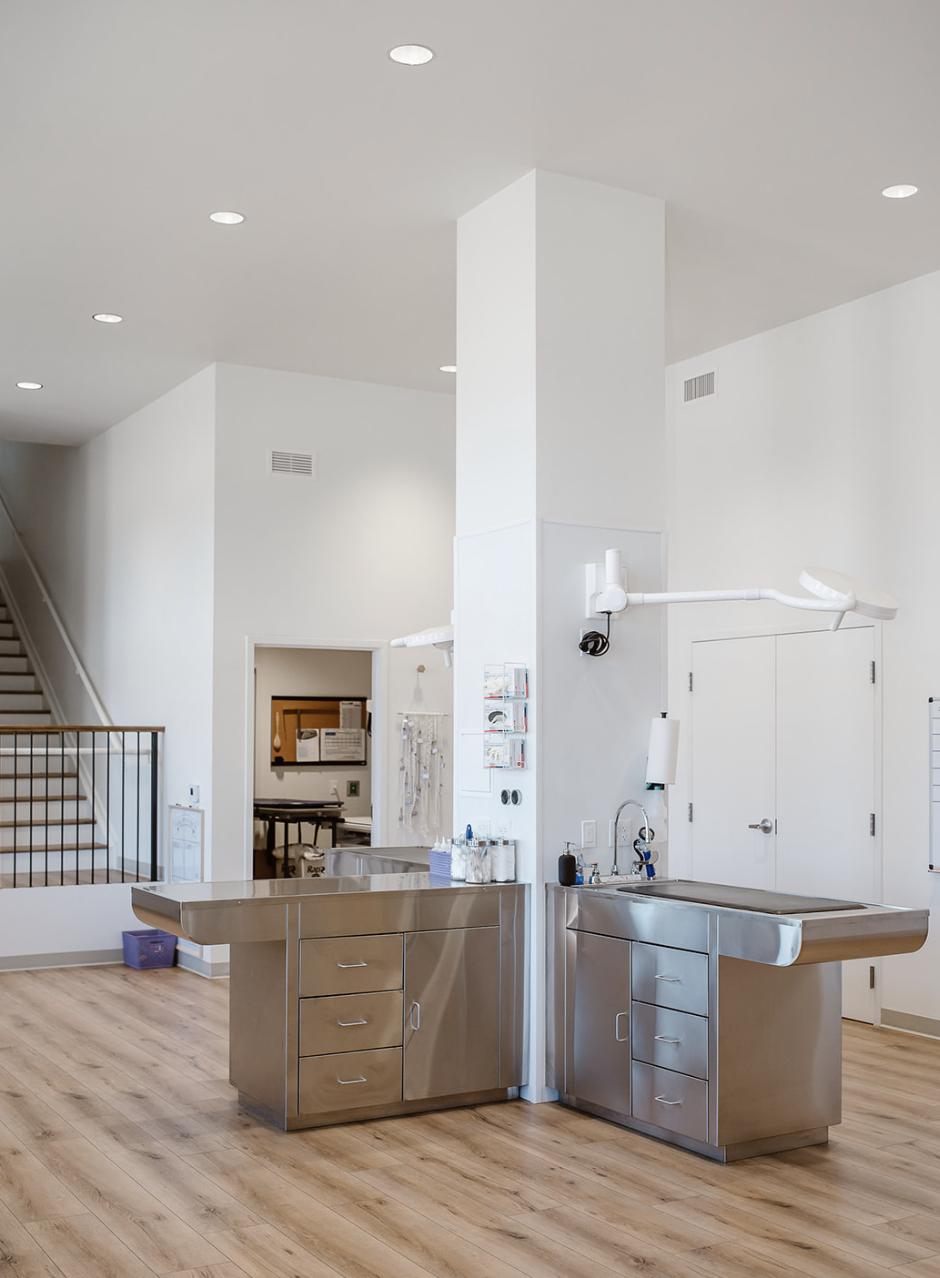 Empty sterilization area in a clean hospital or veterinary clinic, with stainless steel counters, cabinets, and an adjustable surgical light mounted on the wall.