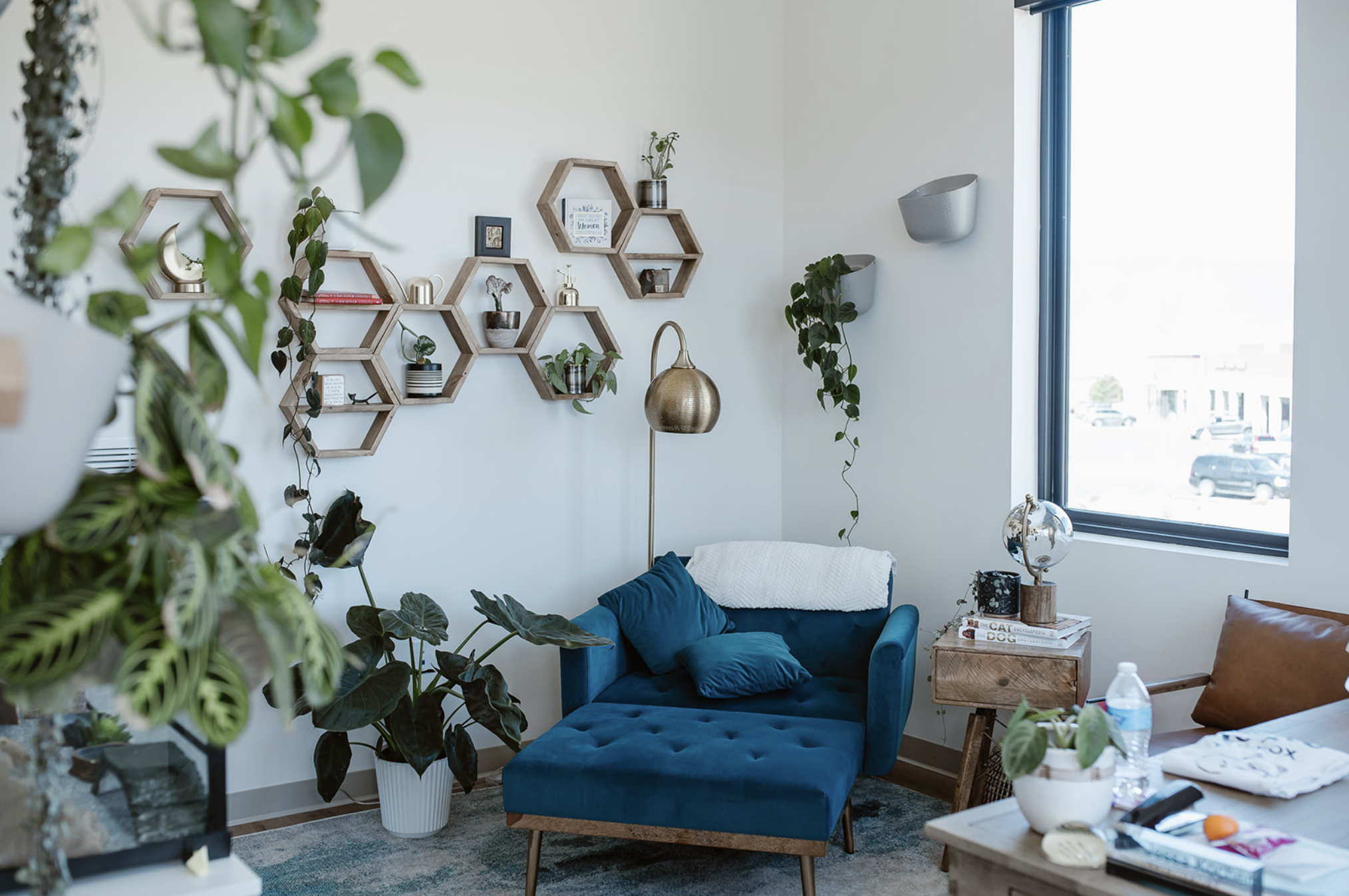 A cozy living room with a teal velvet sofa, white walls, and wall-mounted hexagonal wooden shelves decorated with plants and small decor items. Large windows let in natural light. There are plants in planters, a wooden side table with books and a glo