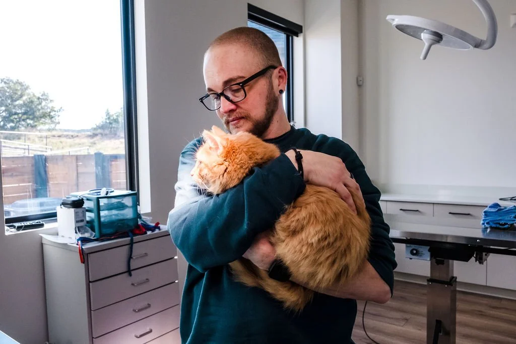 A man wearing glasses and a dark green sweatshirt holding a fluffy ginger cat in a veterinary or medical setting with cabinets, a window, and medical equipment in the background.