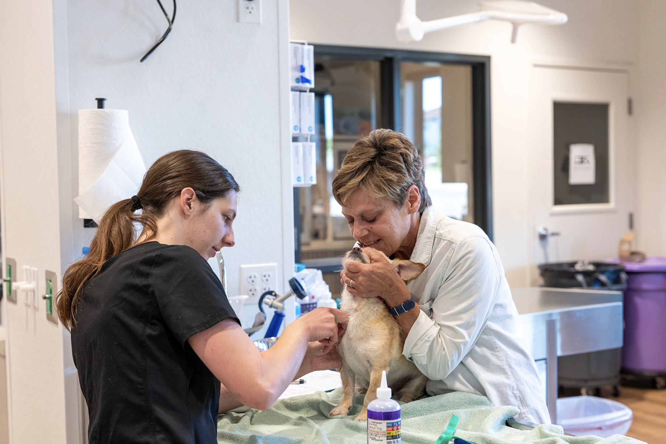 Two women, a veterinarian and a veterinary nurse, attending to a small dog on an examination table in a veterinary clinic. The veterinarian, wearing a white coat, holds the dog gently while examining it, and the nurse, in black scrubs, assists. The room has medical supplies and equipment visible in the background.