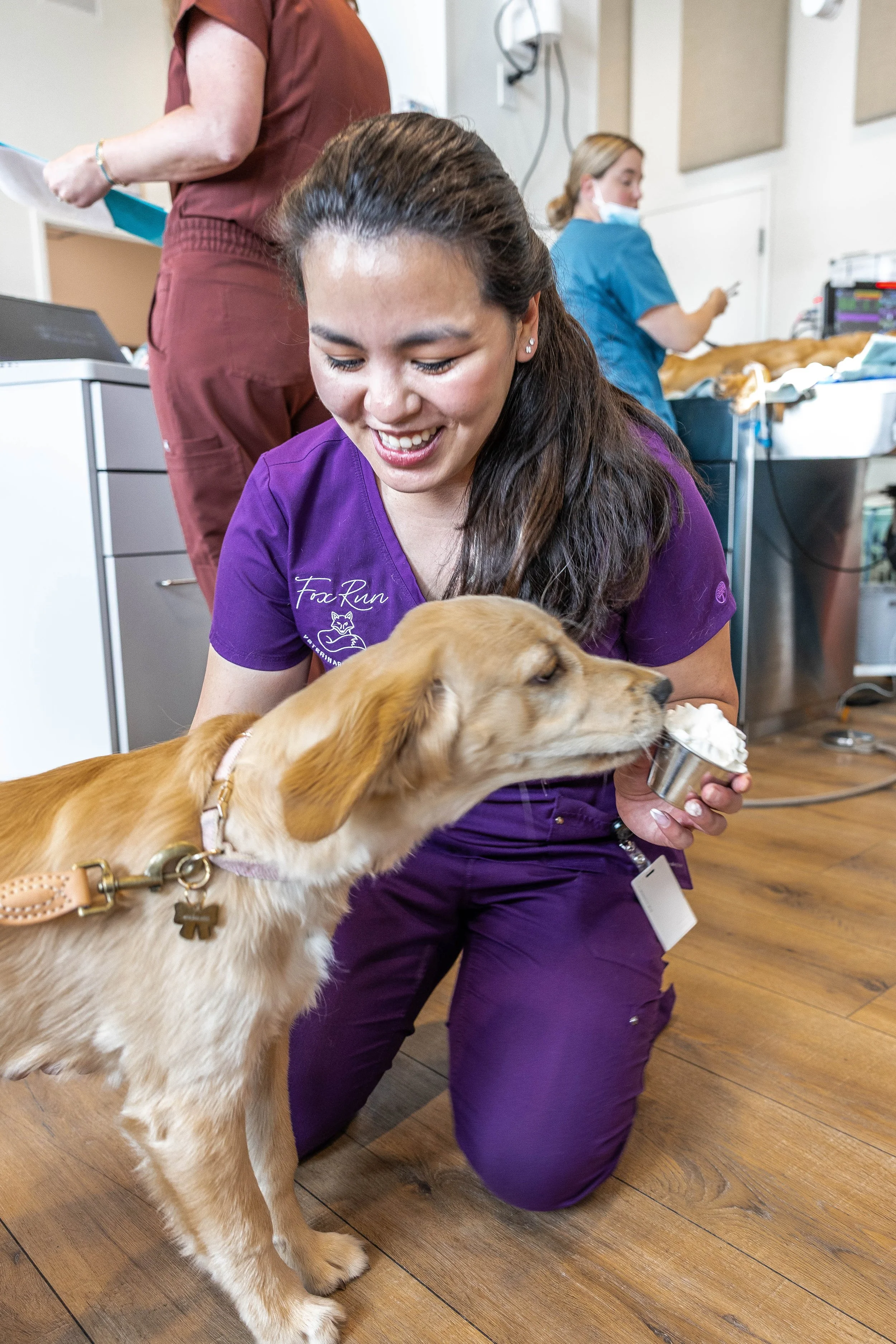 A veterinarian in purple scrubs kneels on the floor holding a golden retriever puppy, which is sniffing a metal bowl of ice cream. Behind her, a colleague in blue scrubs, wearing a face mask, works on a medical table with another dog. The setting appears to be a veterinary clinic with equipment and wooden floors.