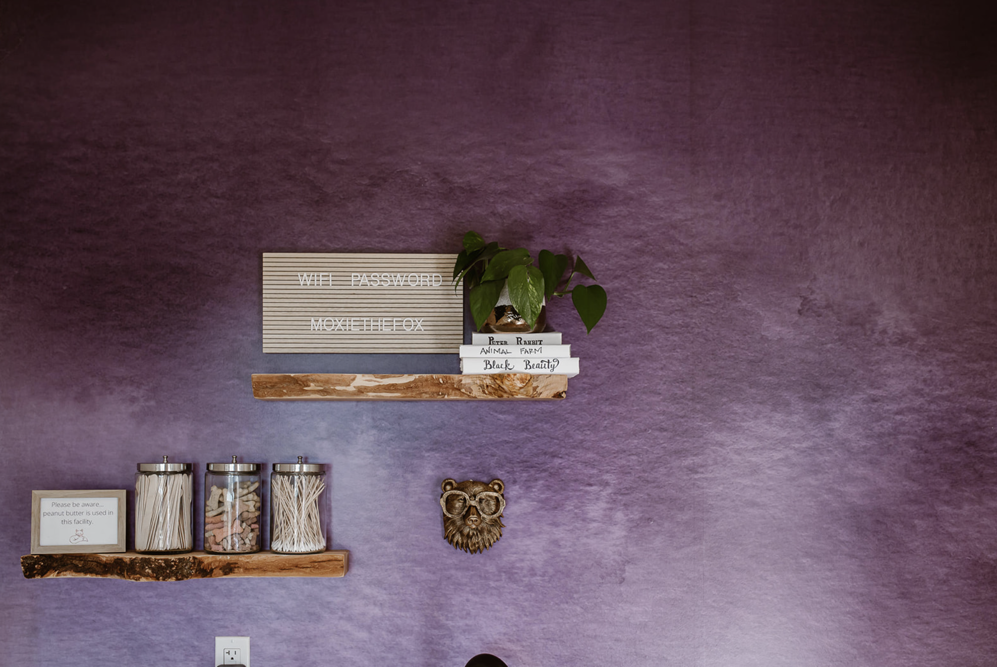Interior of a café with a purple textured wall, decorated with a plant, a letter board, glass jars with snacks, a bear head wall mount, and a lion face wall decoration.