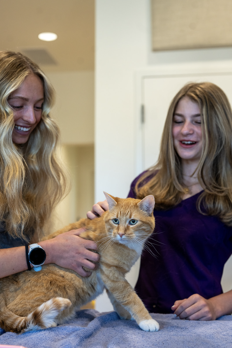 Two women with blonde hair and a ginger cat with blue eyes are smiling in an indoor setting.