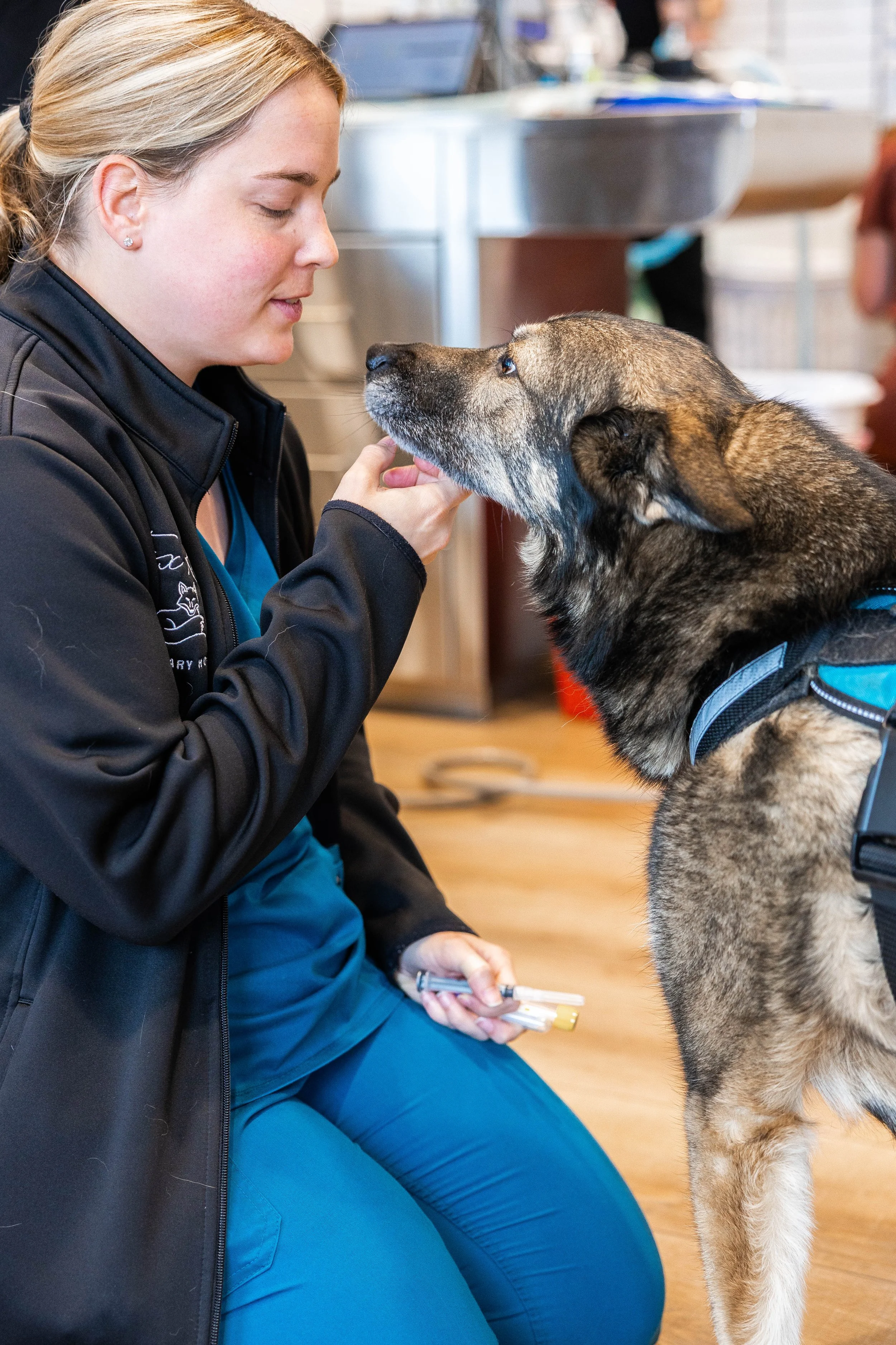 A veterinary technician in teal scrubs and a black jacket shares a moment with a large, tan and gray dog in an animal clinic. The dog appears calm, and the technician is holding a syringe while sitting on the floor.