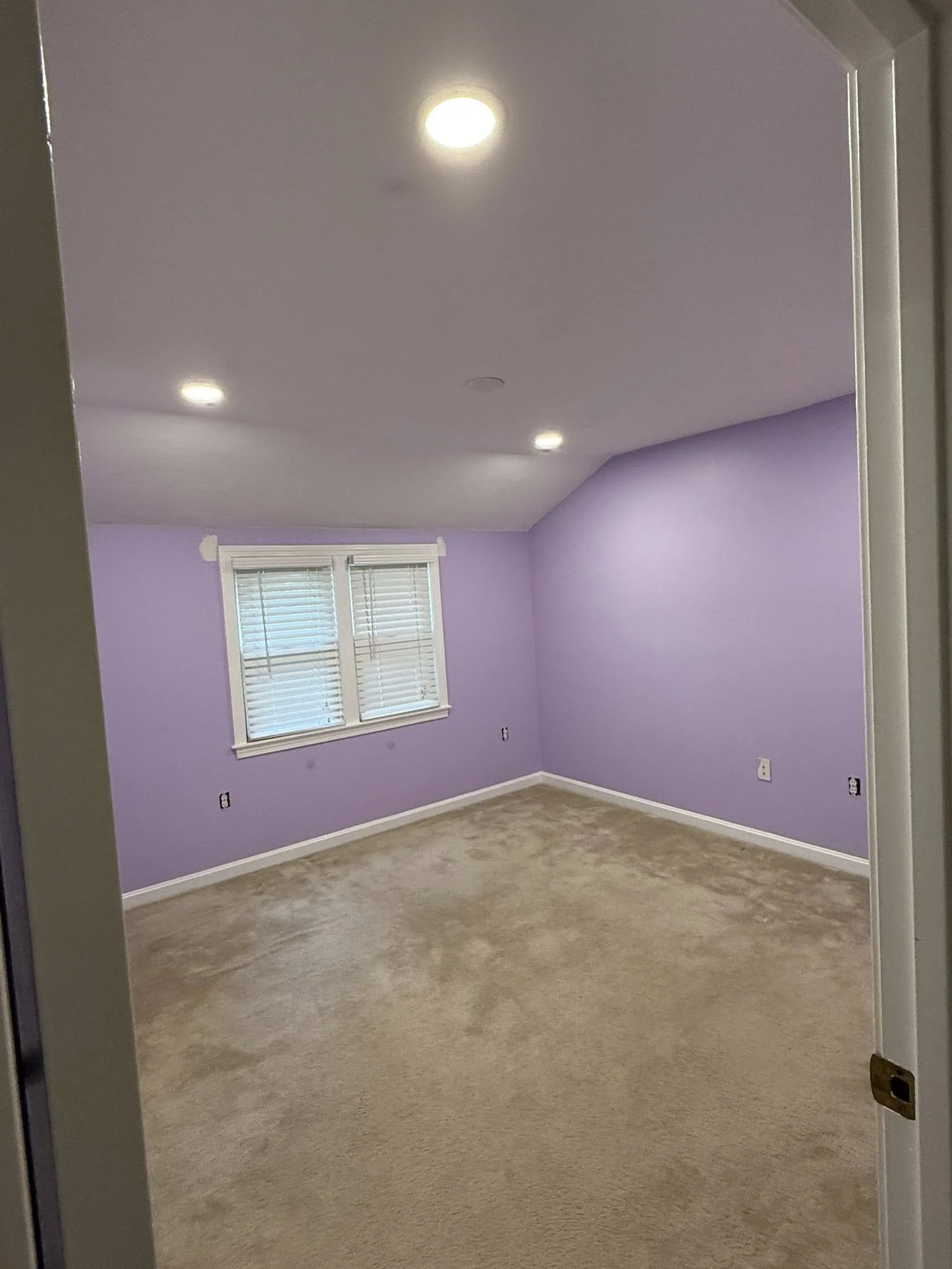 Empty room with purple walls, white window blinds, beige carpet, and ceiling lights.