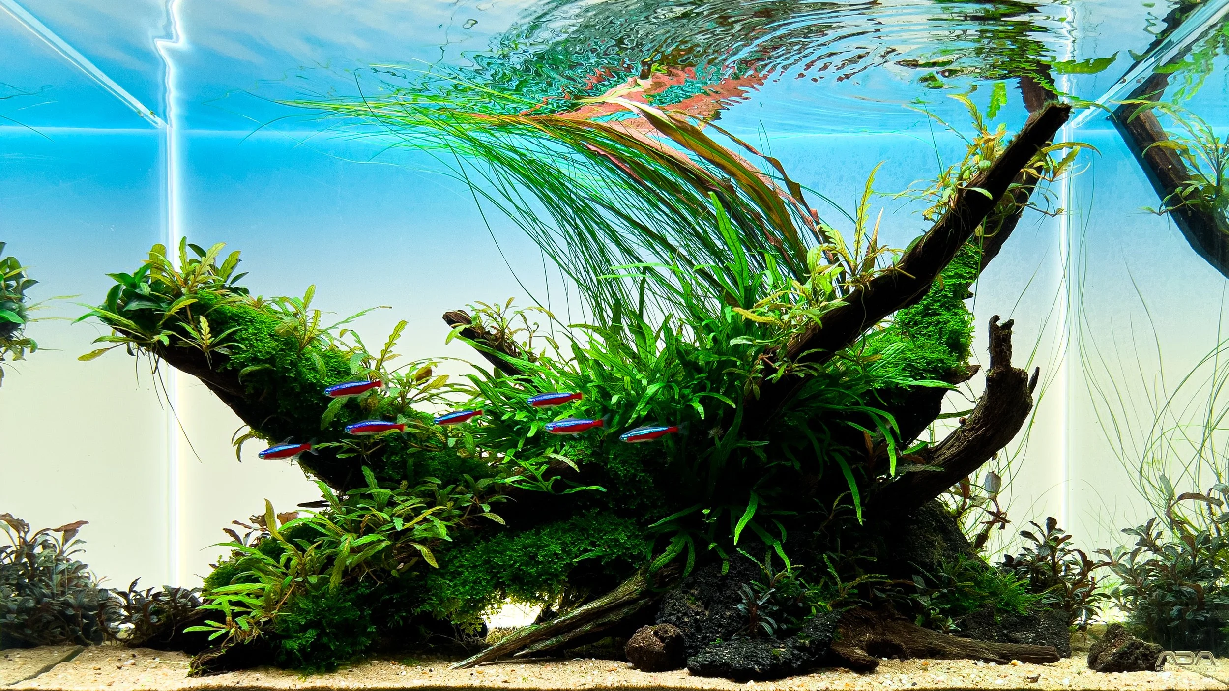 Natures Sanctuary