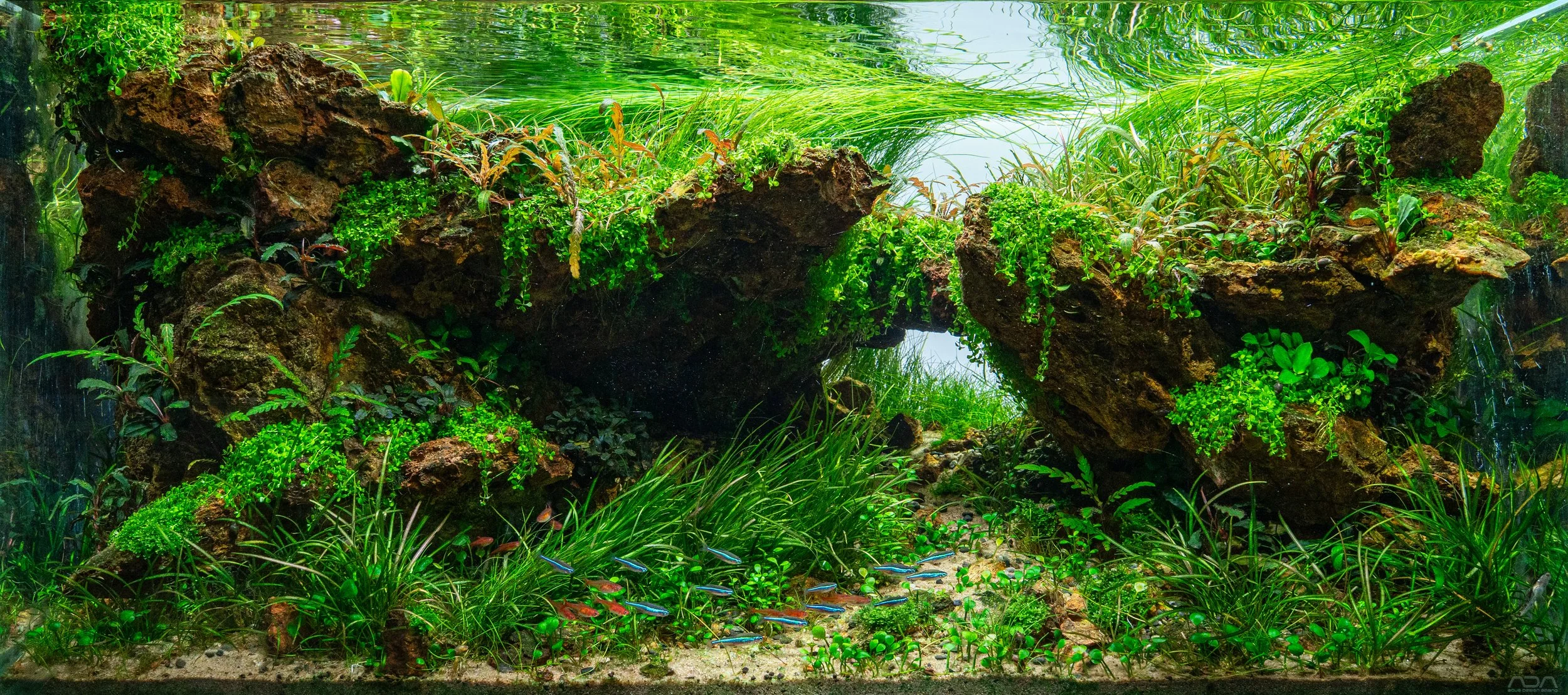 Carved by the Stream