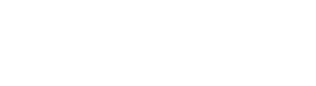 Chemlink Partners Logo White