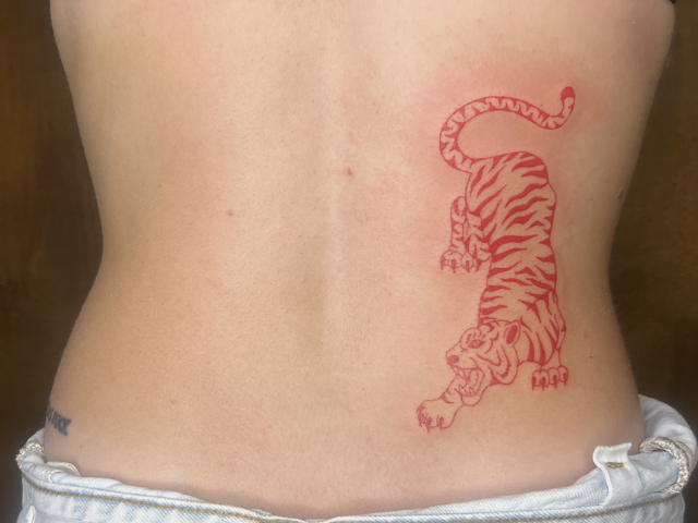 Completed tattoo of close up by Banksia and Blade. Red ink tiger tattoo on left side of lower back.
