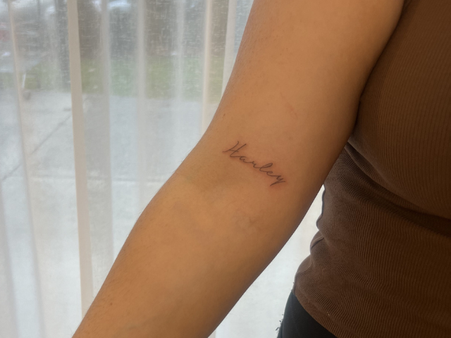 'Harley' fine line tattoo on inner arm by banksia and blade