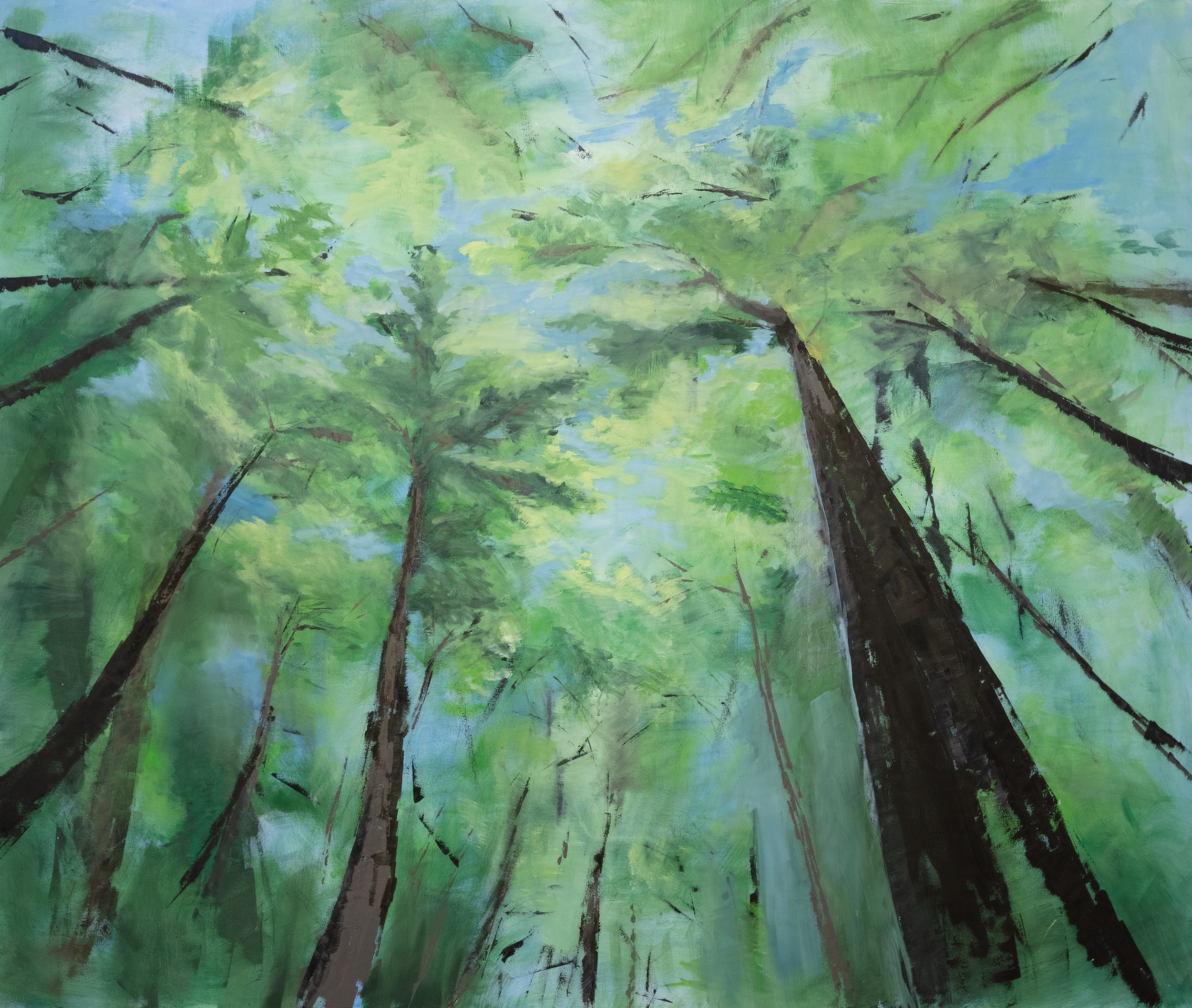 "Canopy"