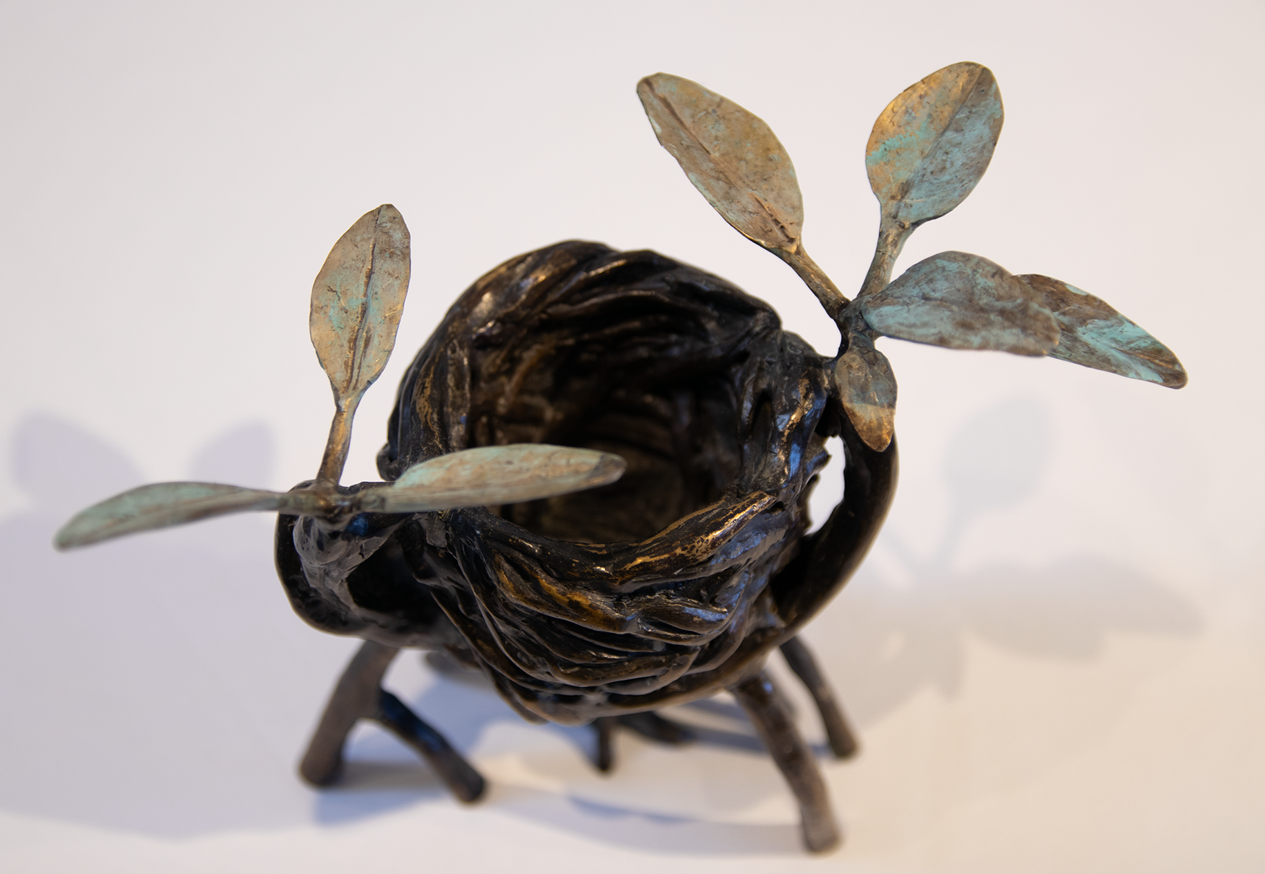 "Mangrove cup" detail image