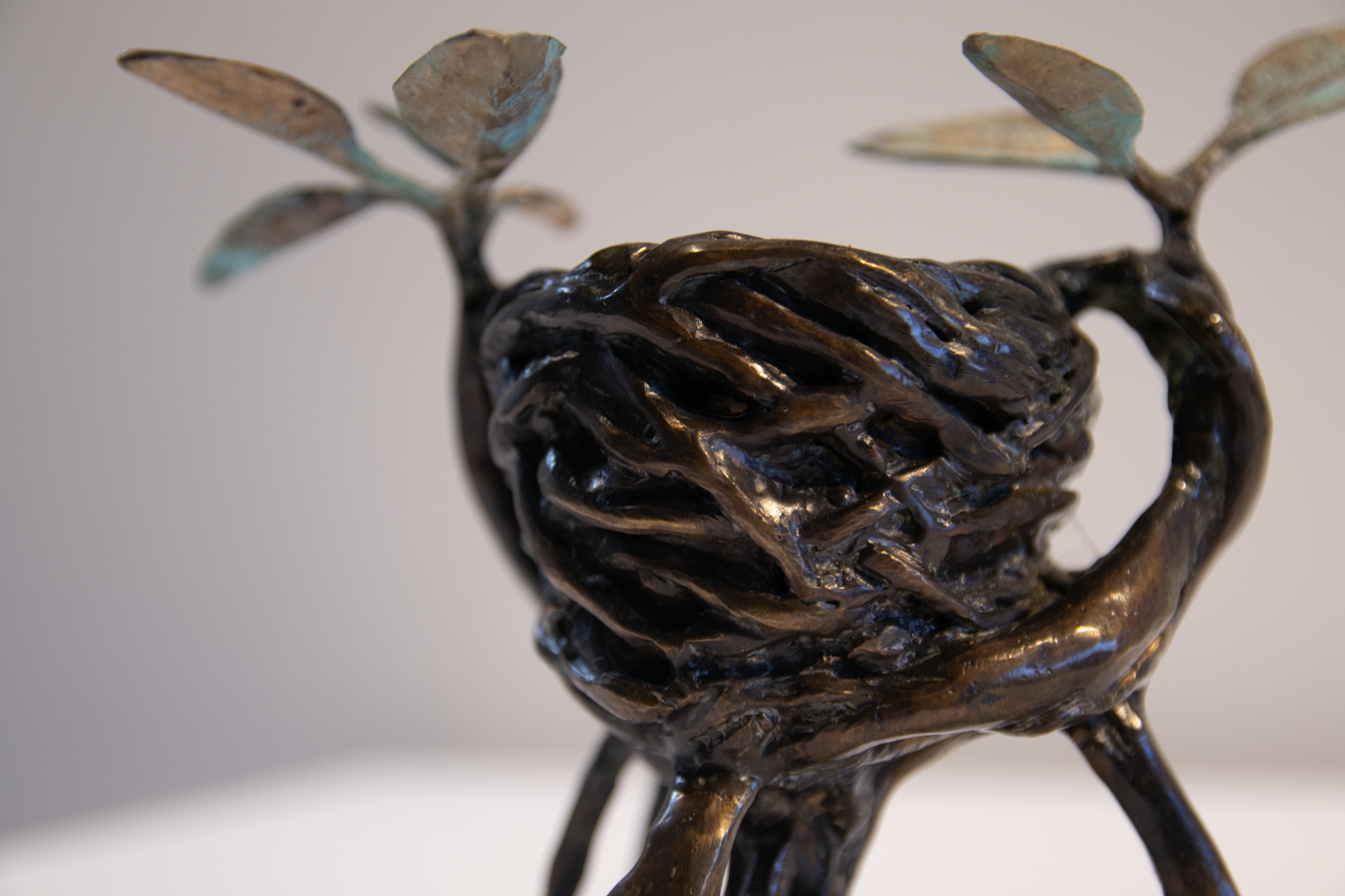 "Mangrove cup" detail image